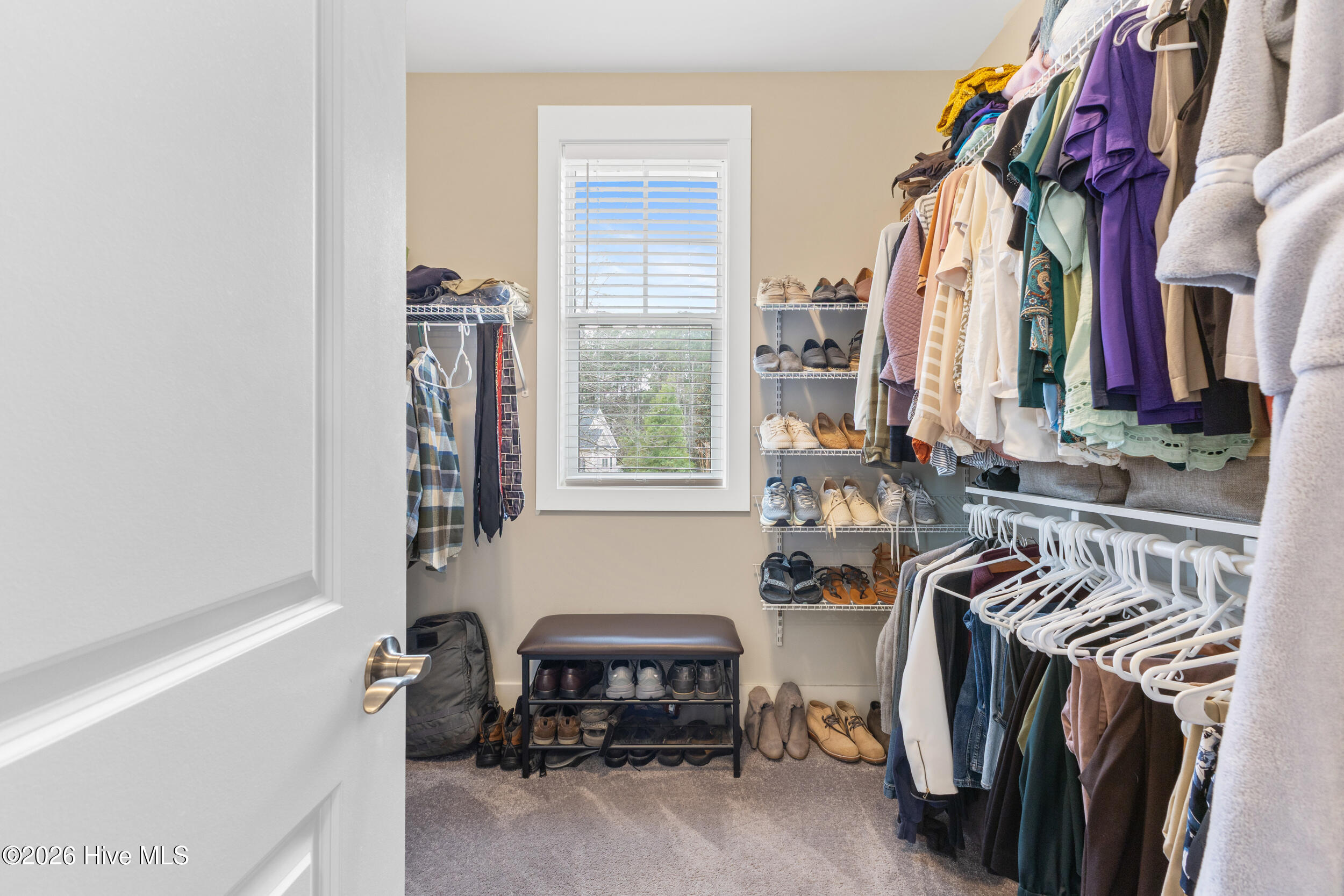 100558084 | Photo 26