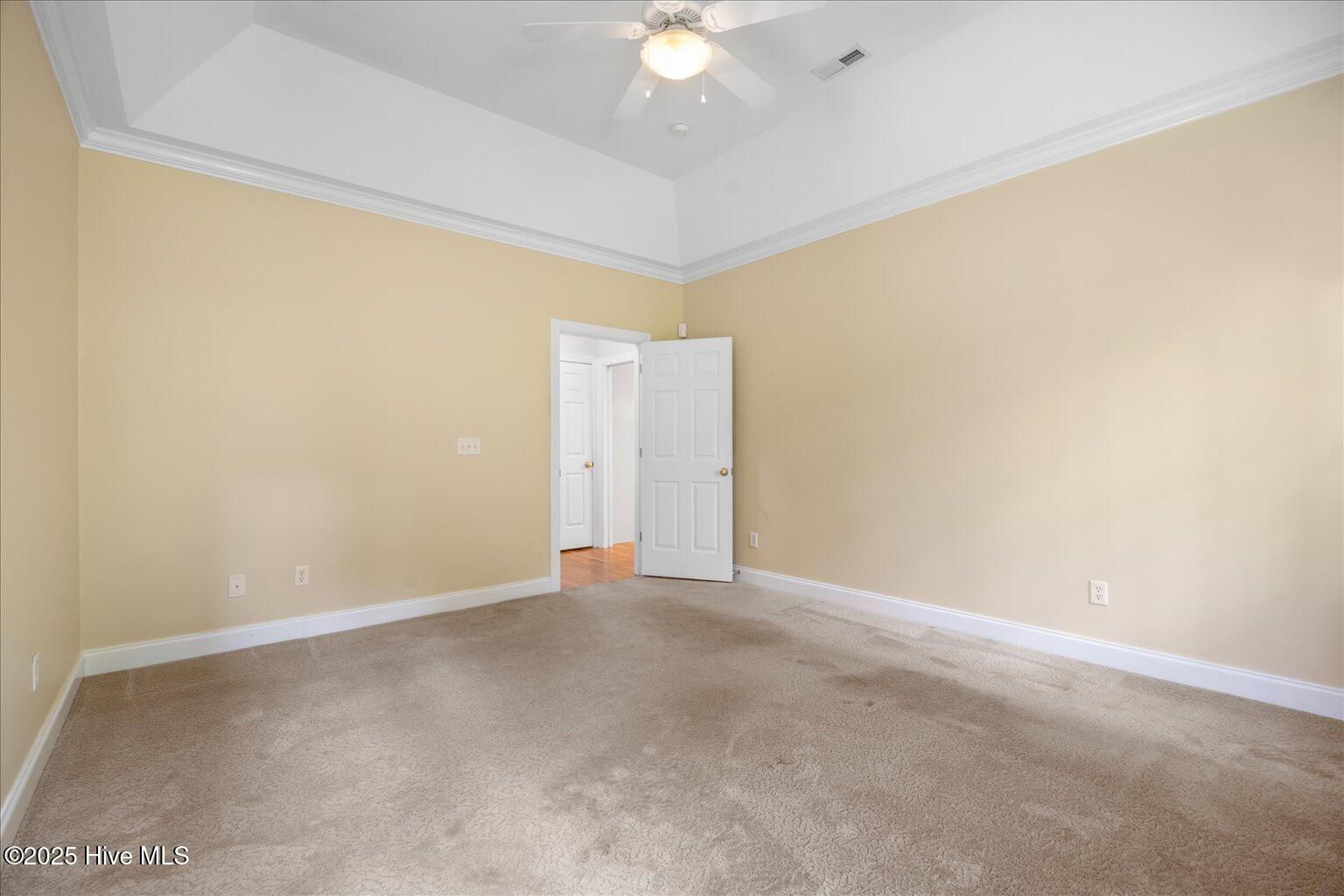 100521563 | Photo 21