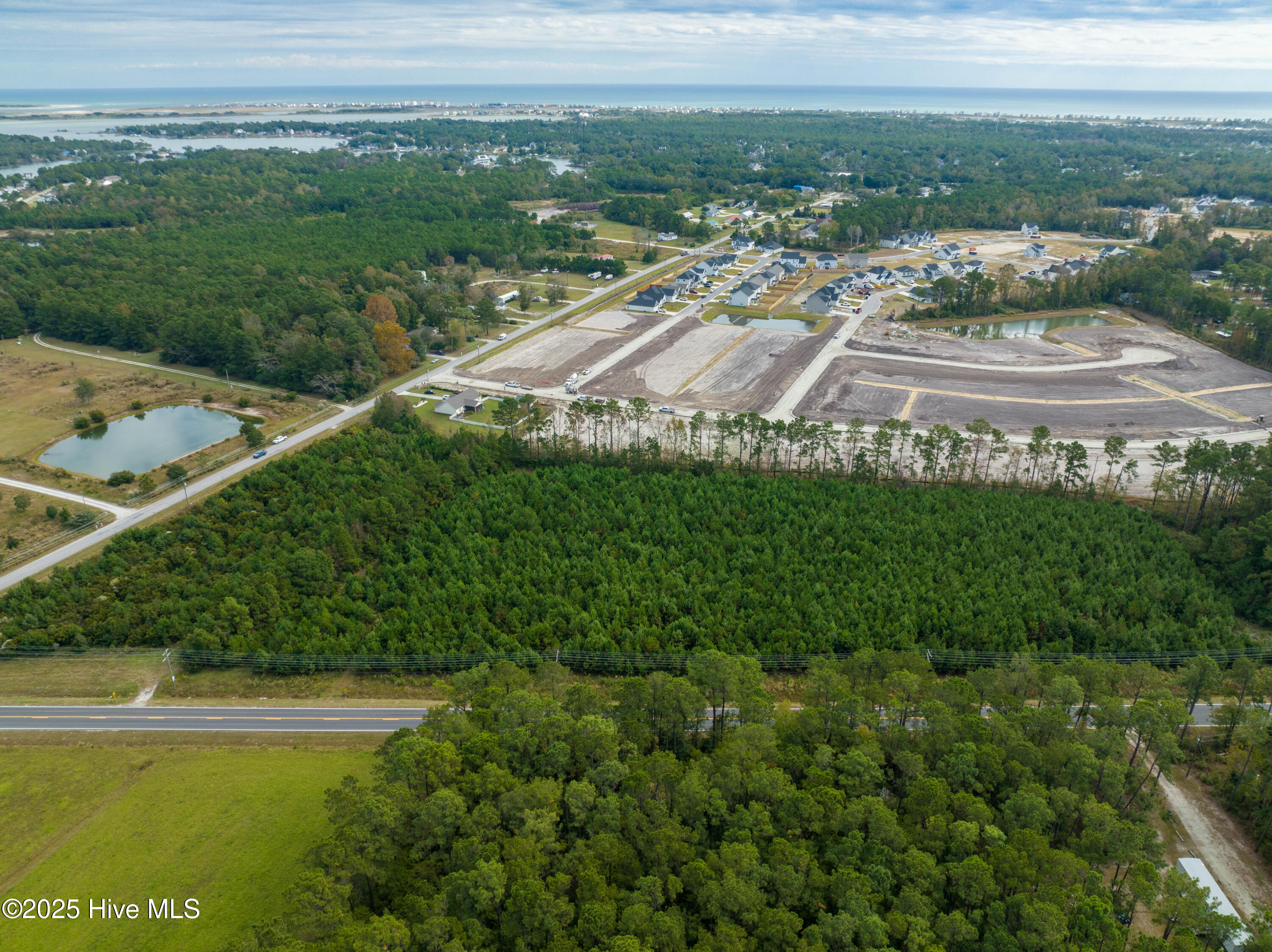 100492776 | Photo 17