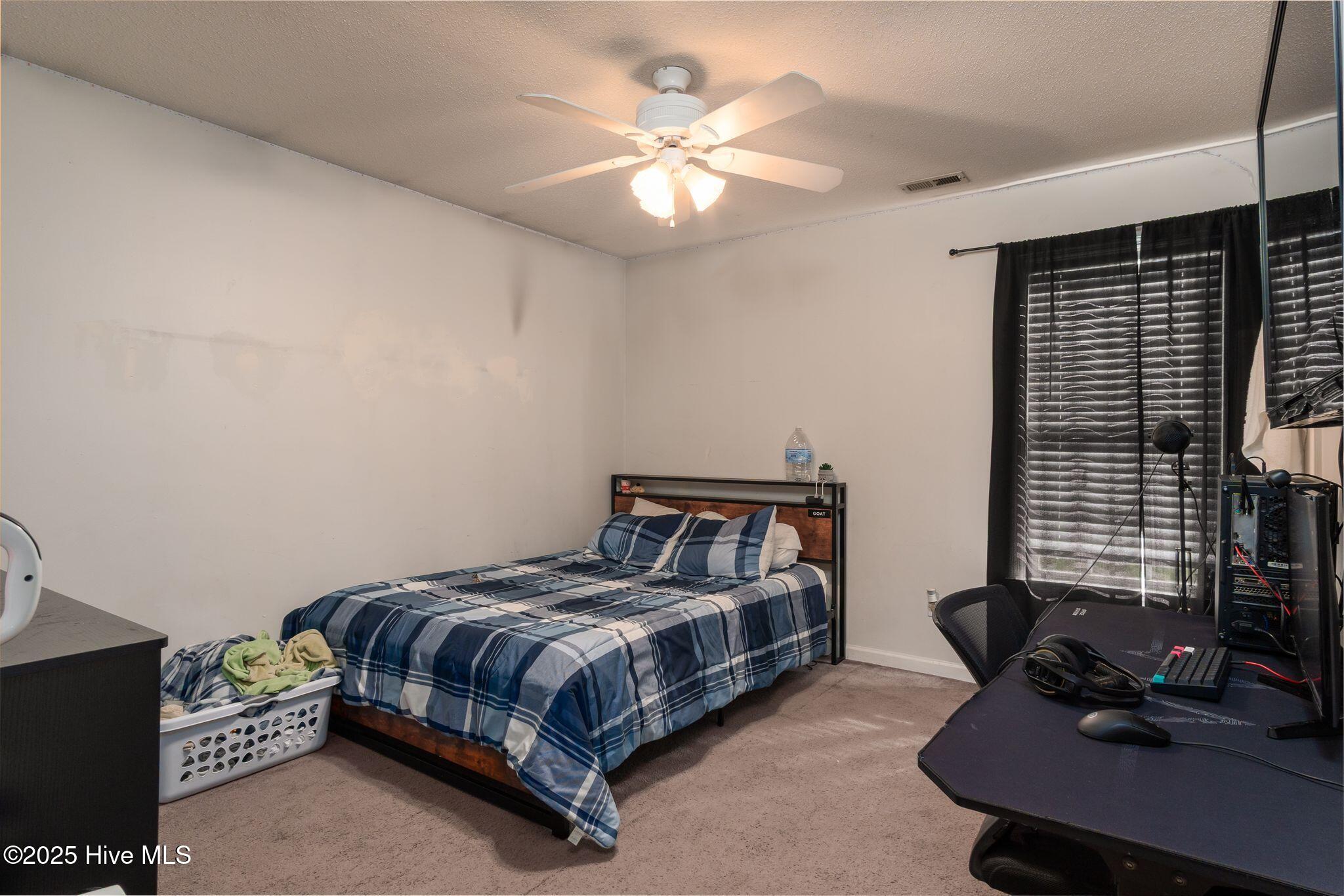 100537602 | Photo 19