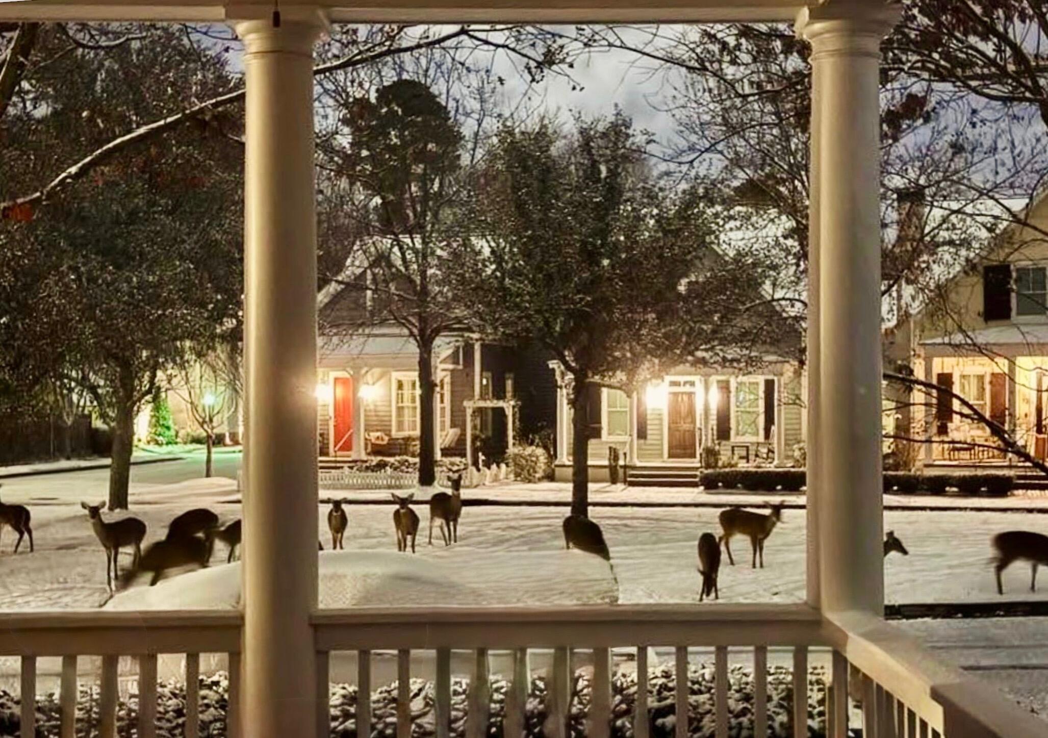 61 Crystal Lake Drive, North Augusta, SC, 29841