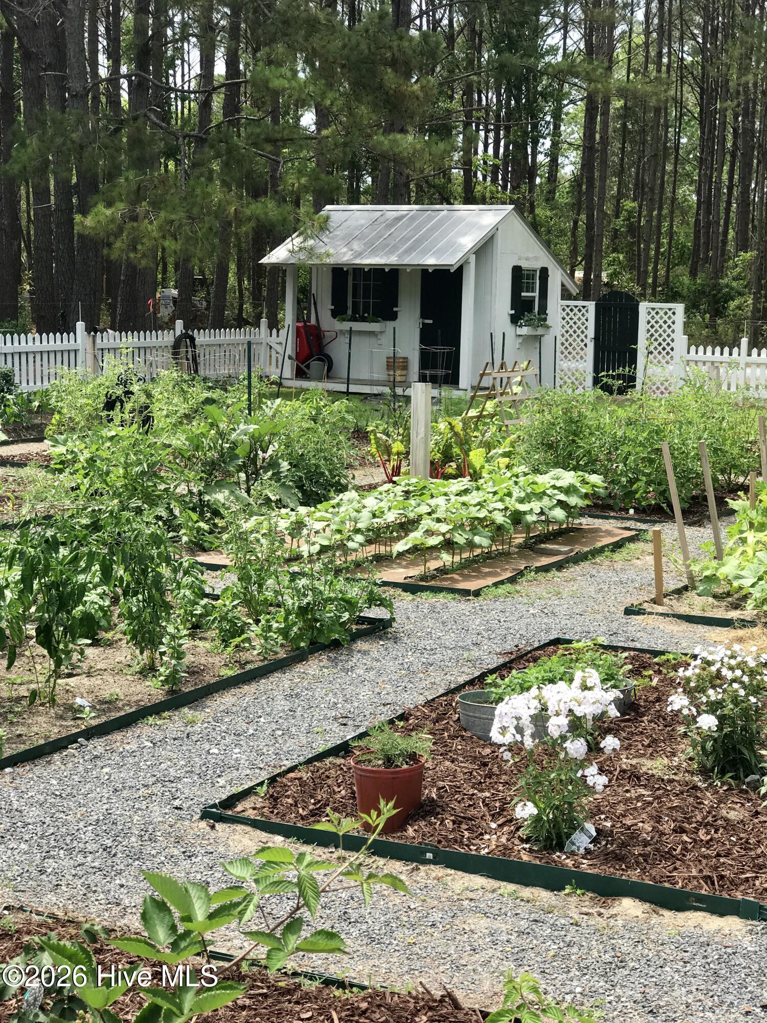 100569921 | Photo 49