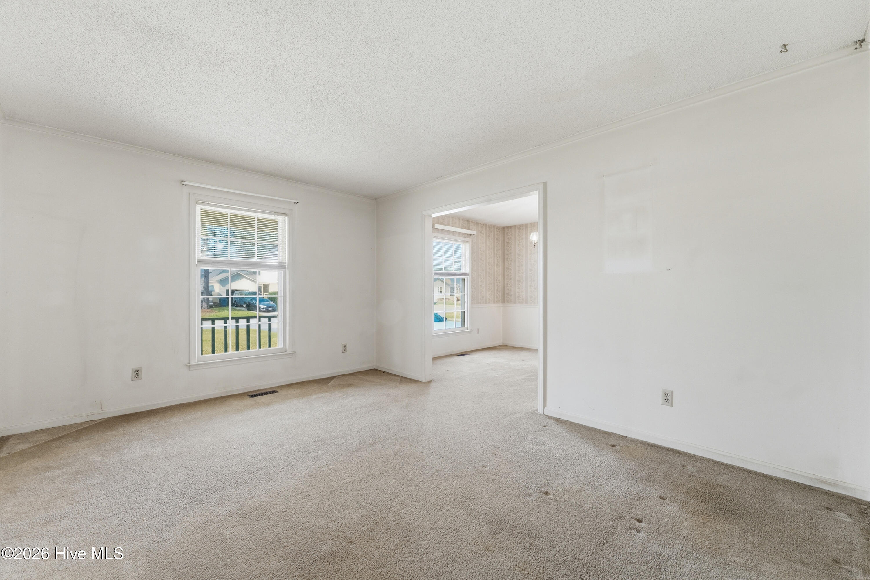 100563491 | Photo 10