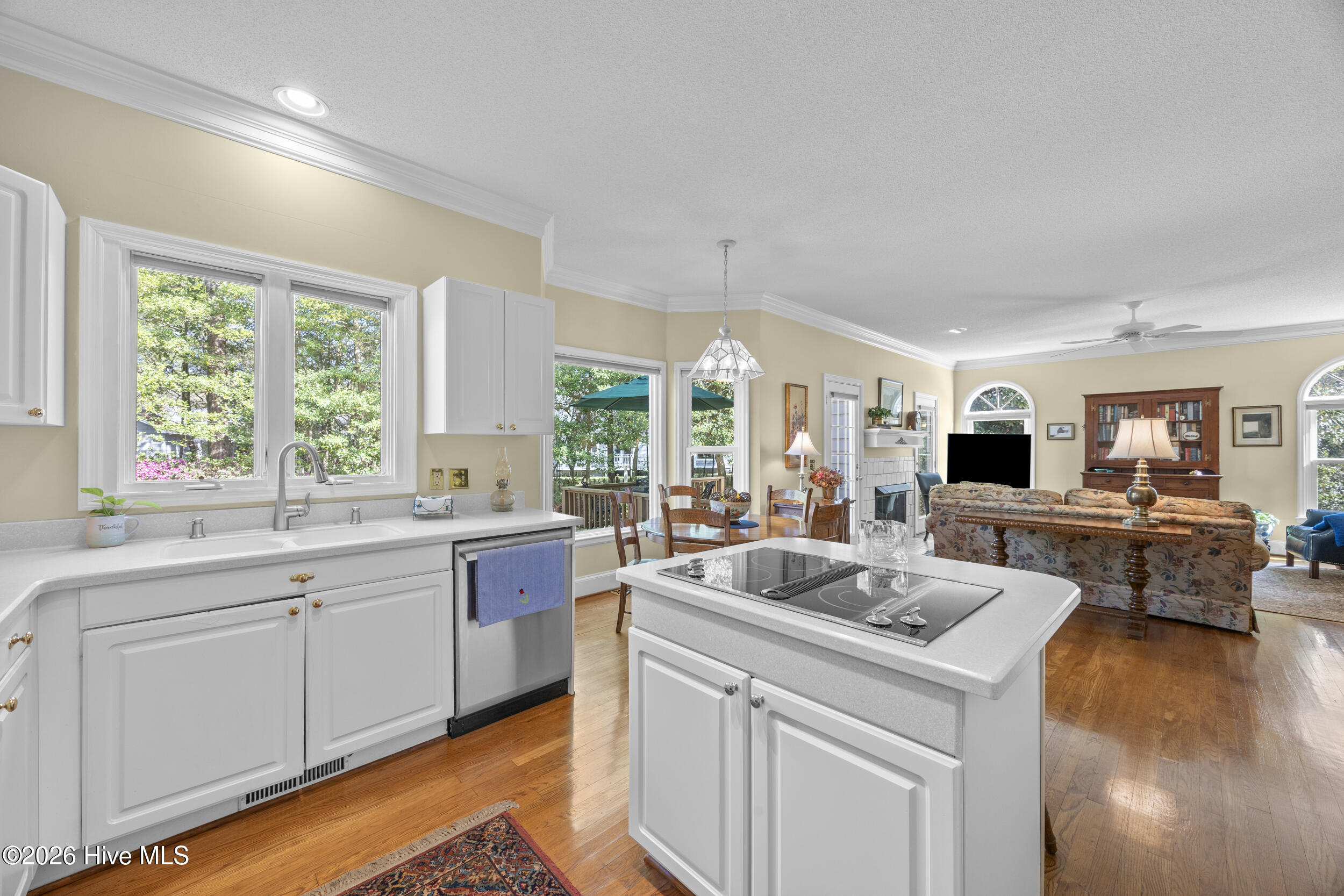 100564035 | Photo 20