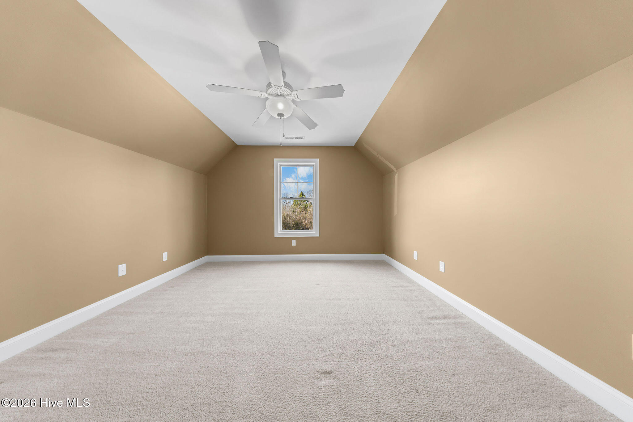 100552477 | Photo 36