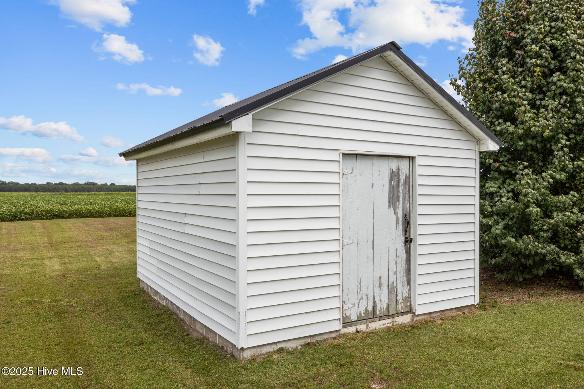 27-web-or-mls-0C0A9191