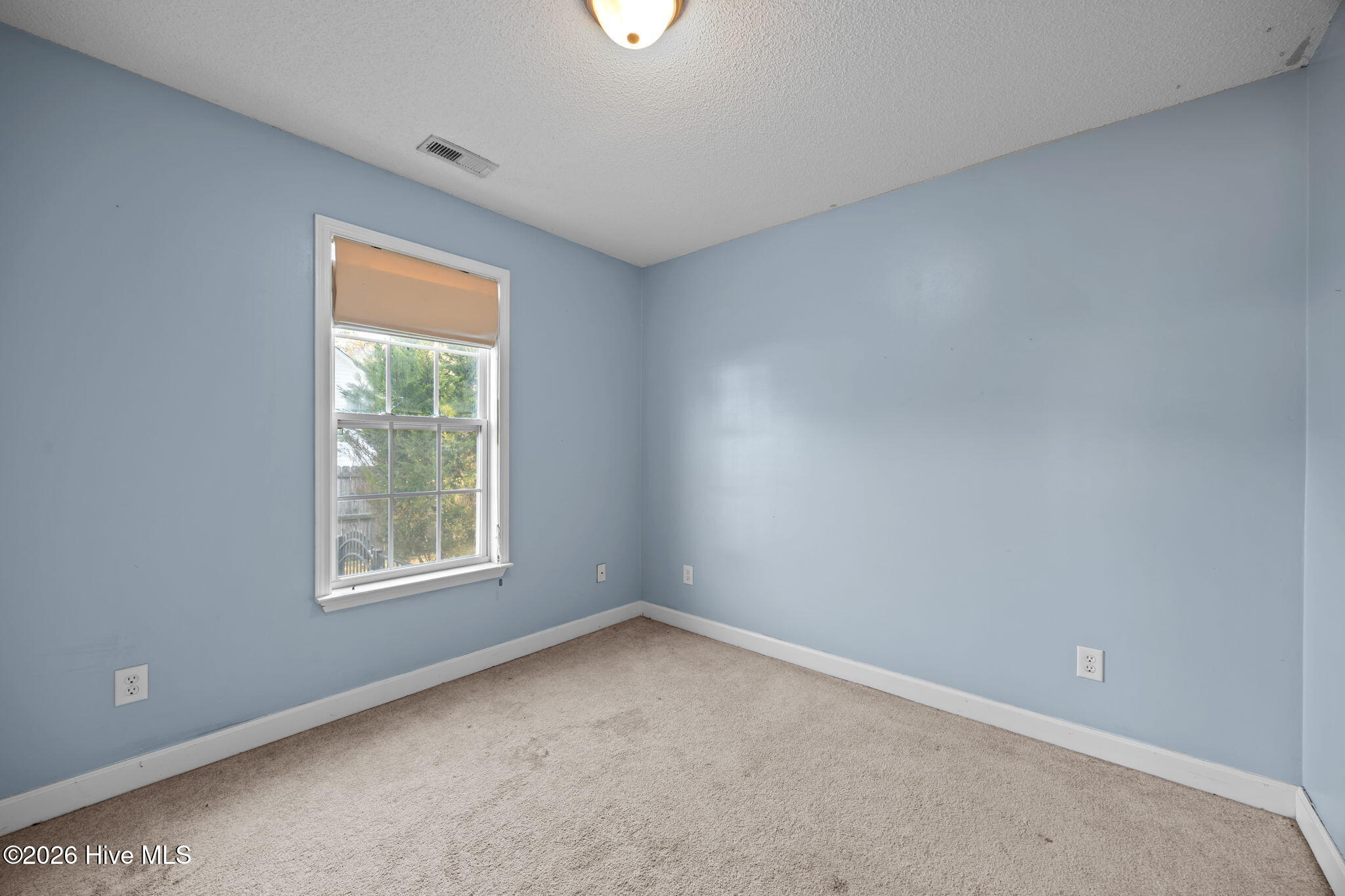 100522490 | Photo 29