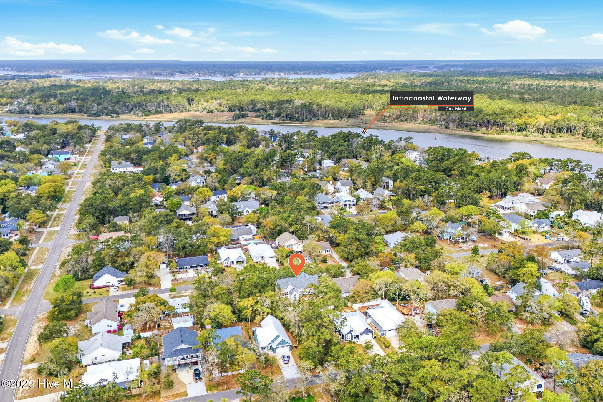 100565063 | Photo 12