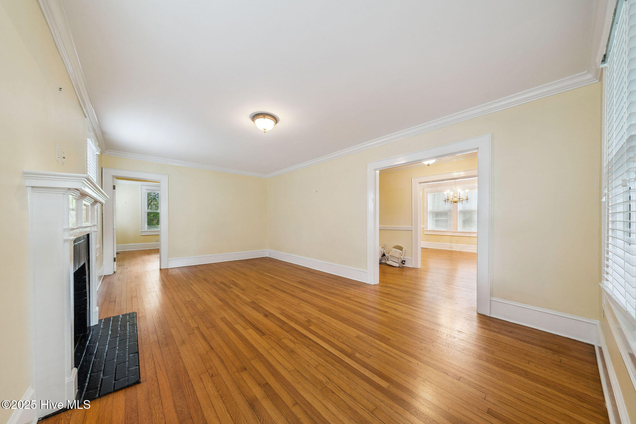 217 N 18th Street, Wilmington, NC 28405 – photo 24: 217N18thSt-22