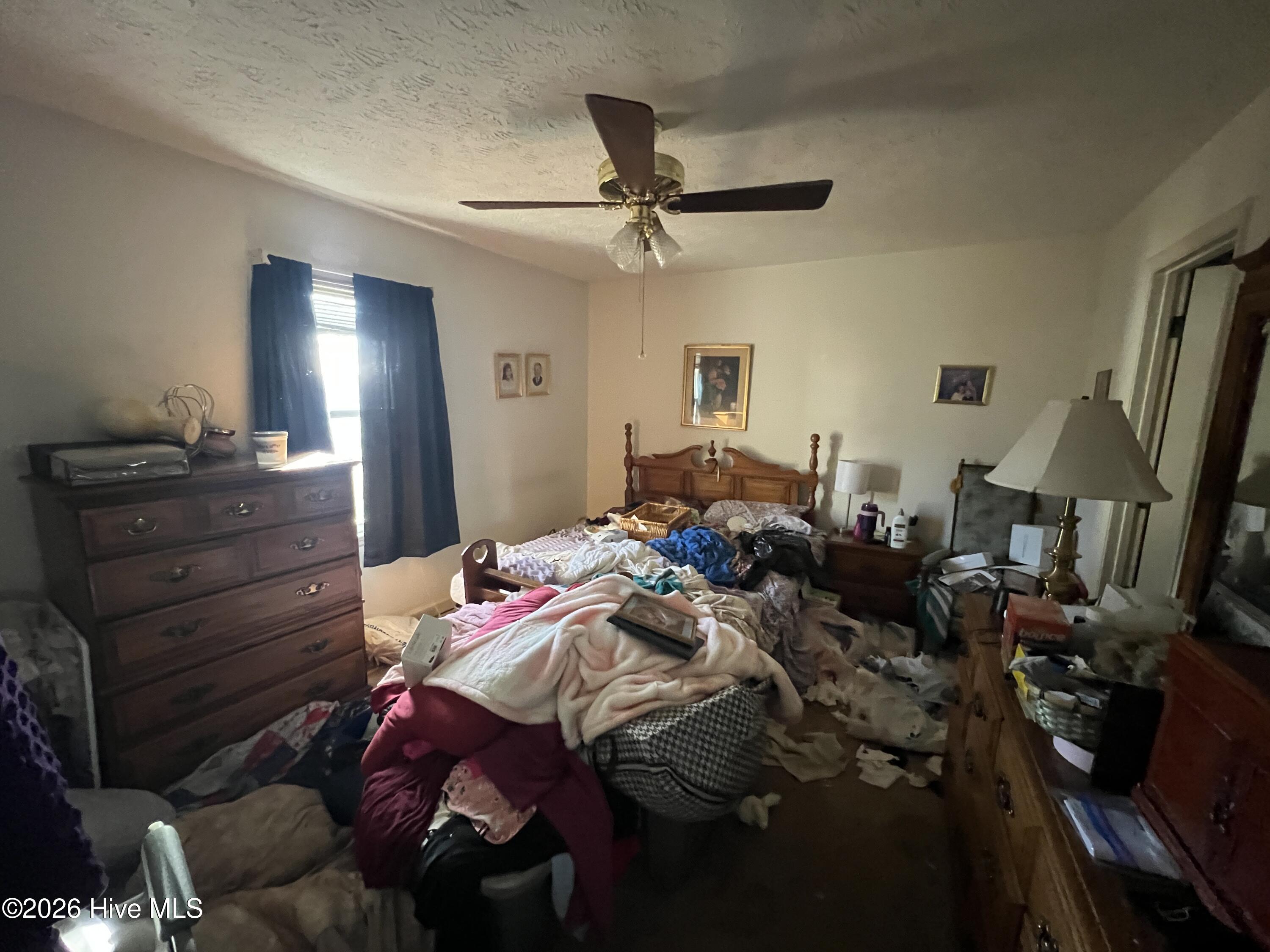 100555169 | Photo 12