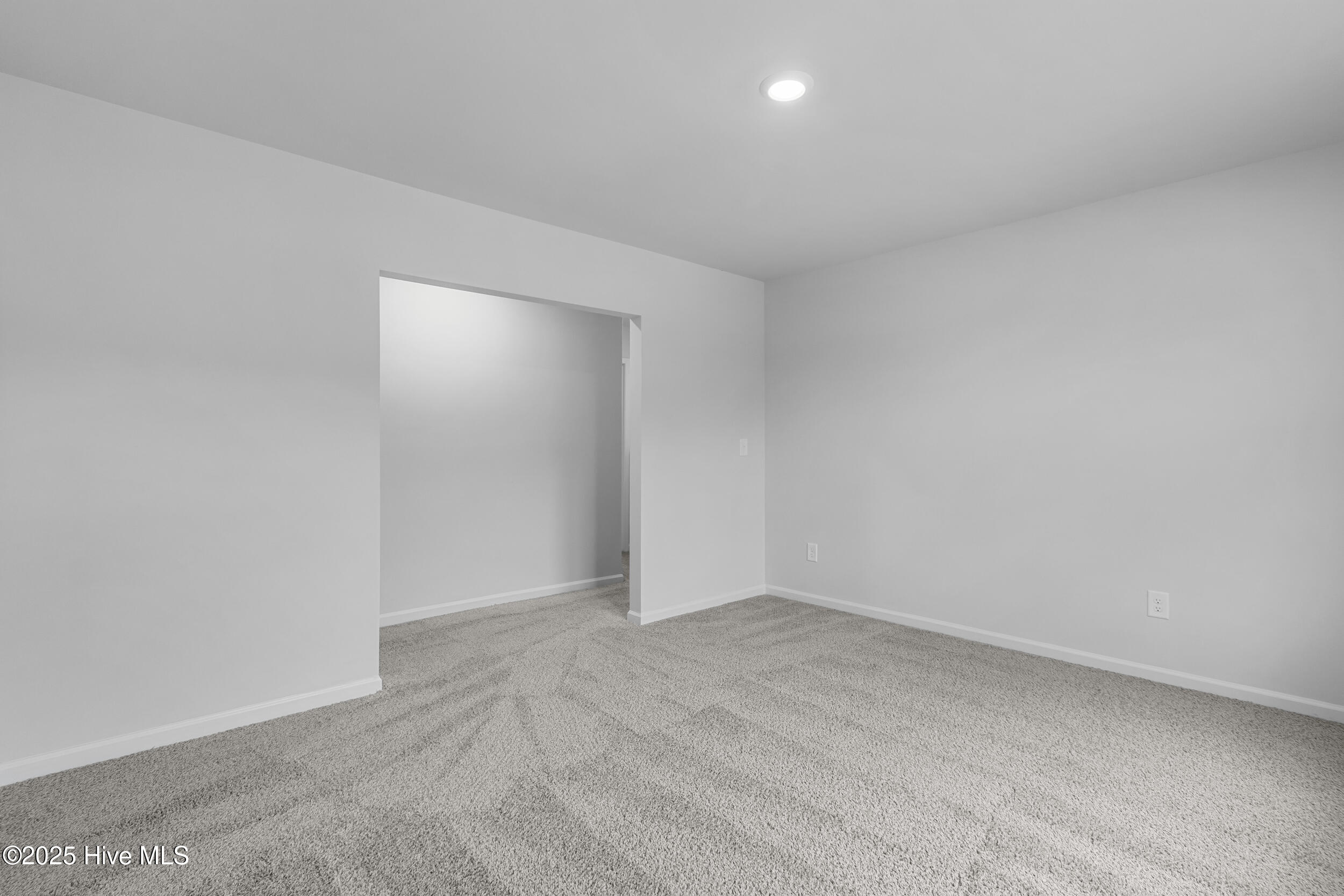 100538946 | Photo 29