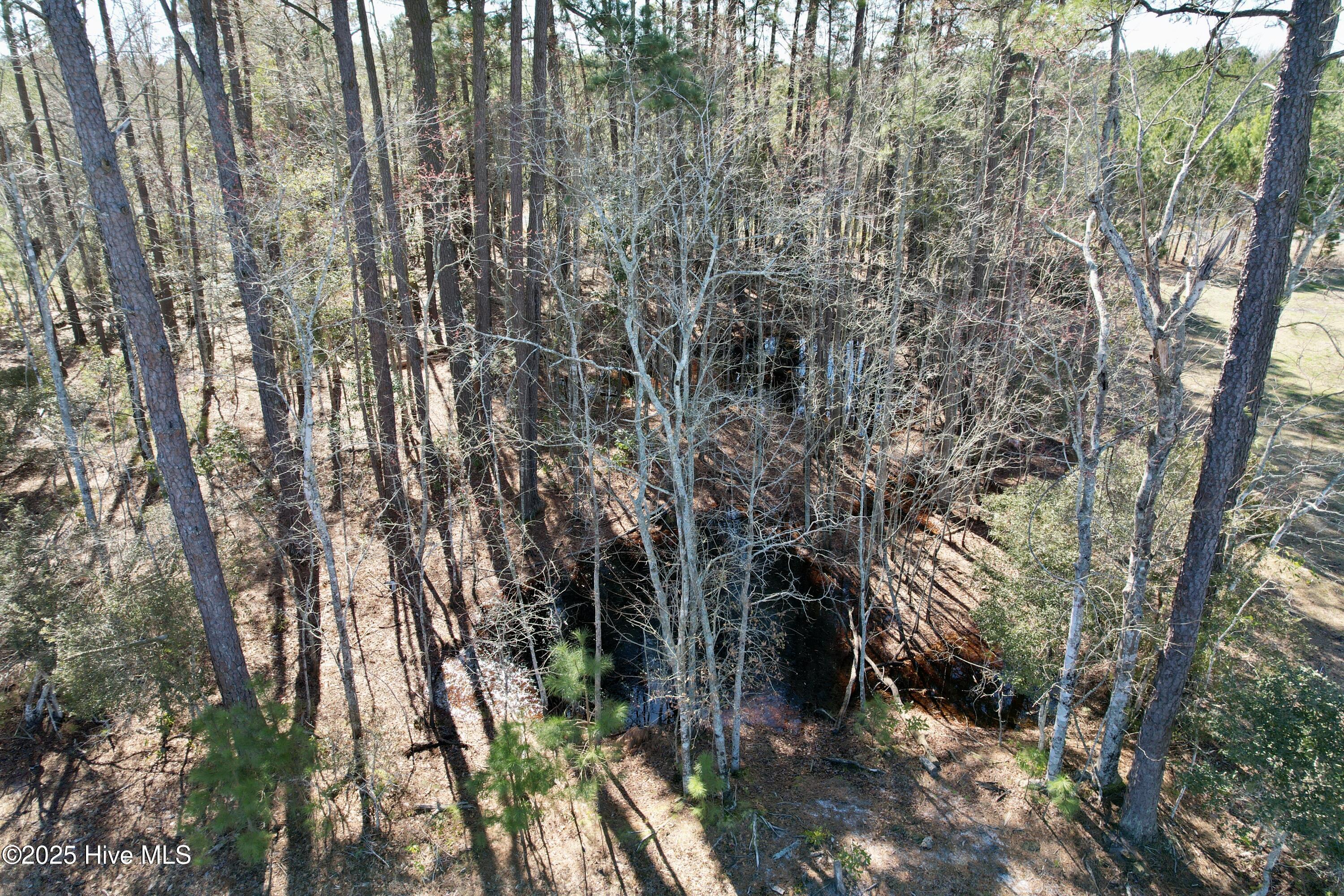 100490813 | Photo 17