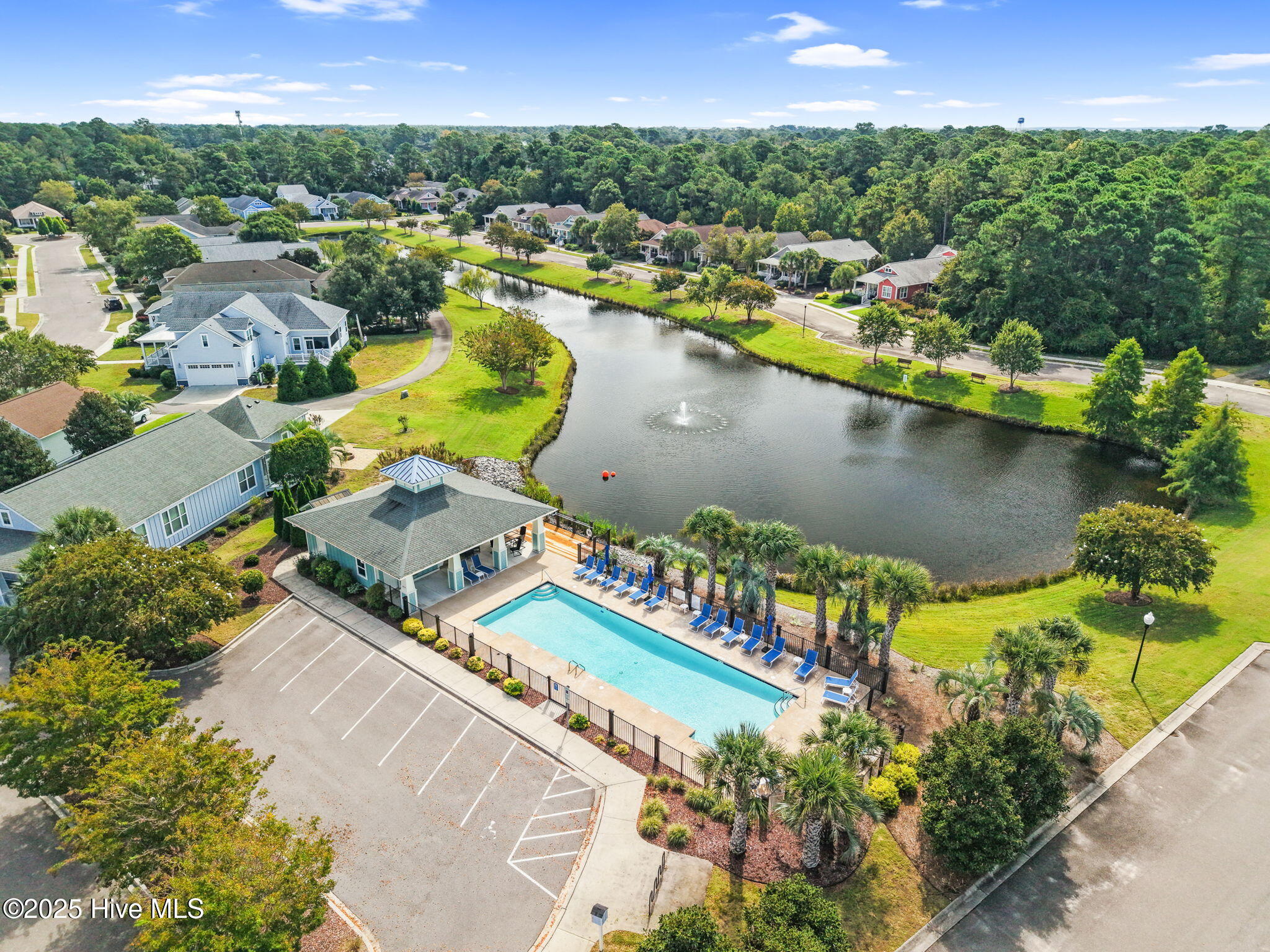 100541992 | Photo 77