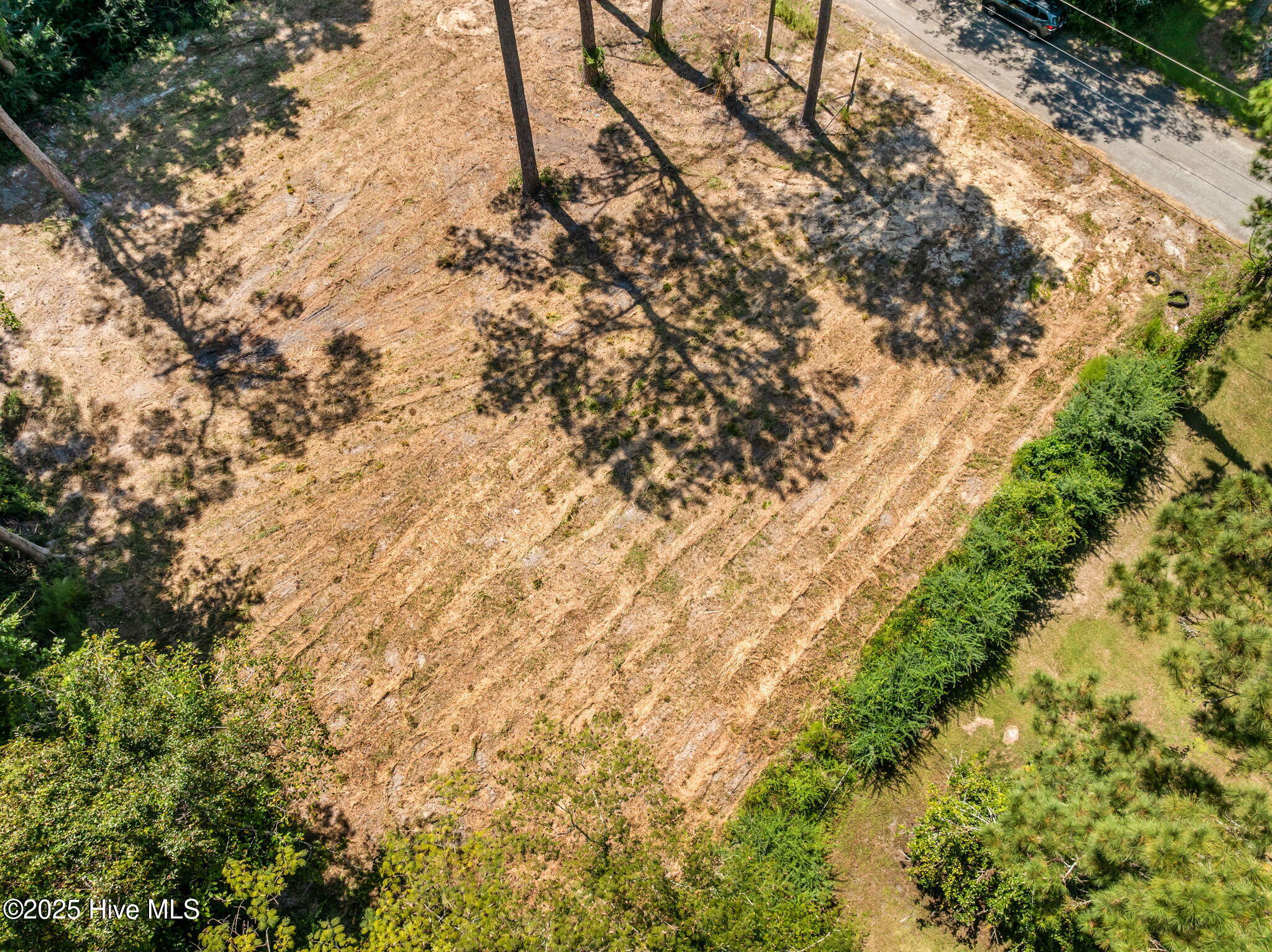 100546344 | Photo 13