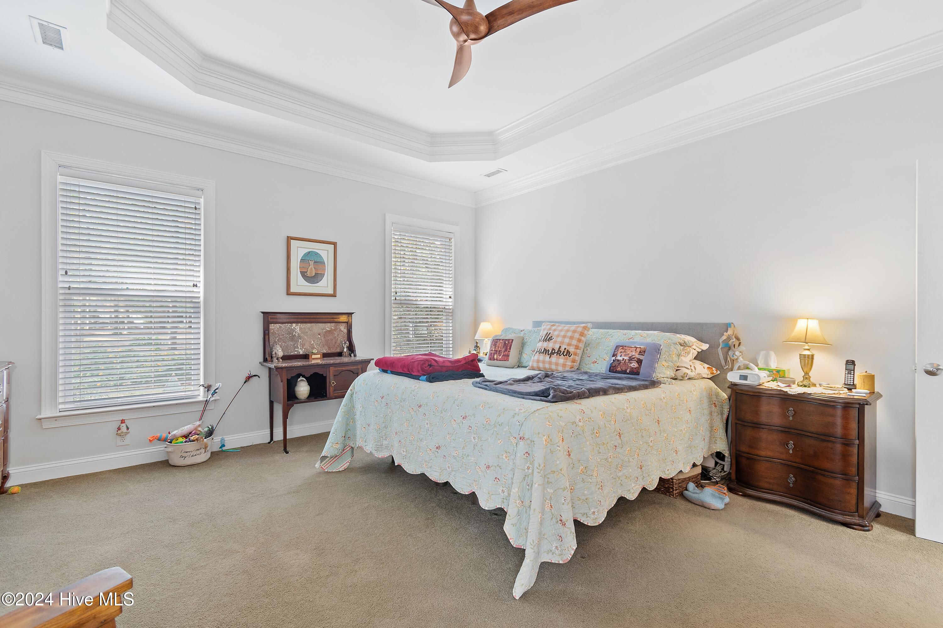 100554378 | Photo 25