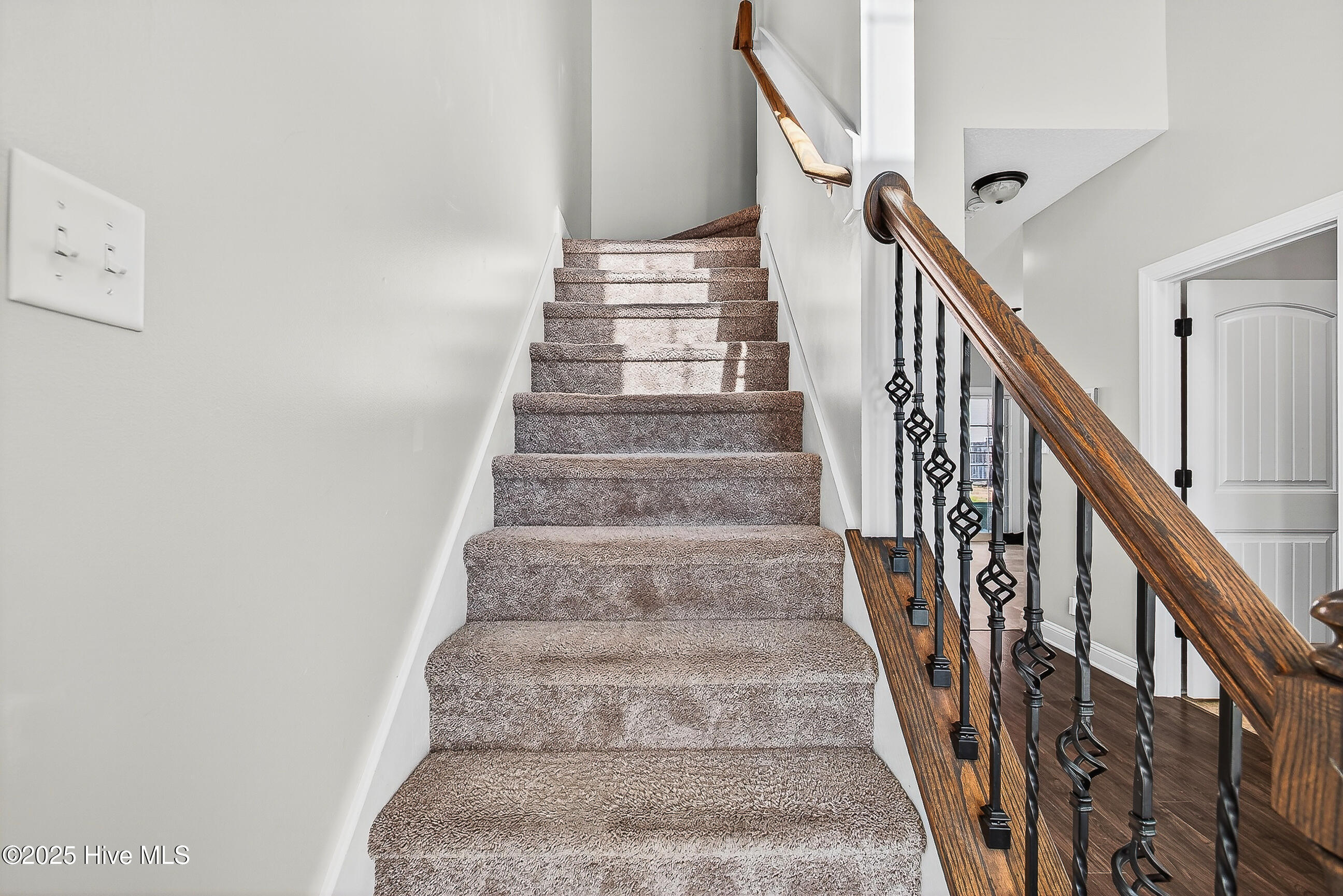 100541345 | Photo 21