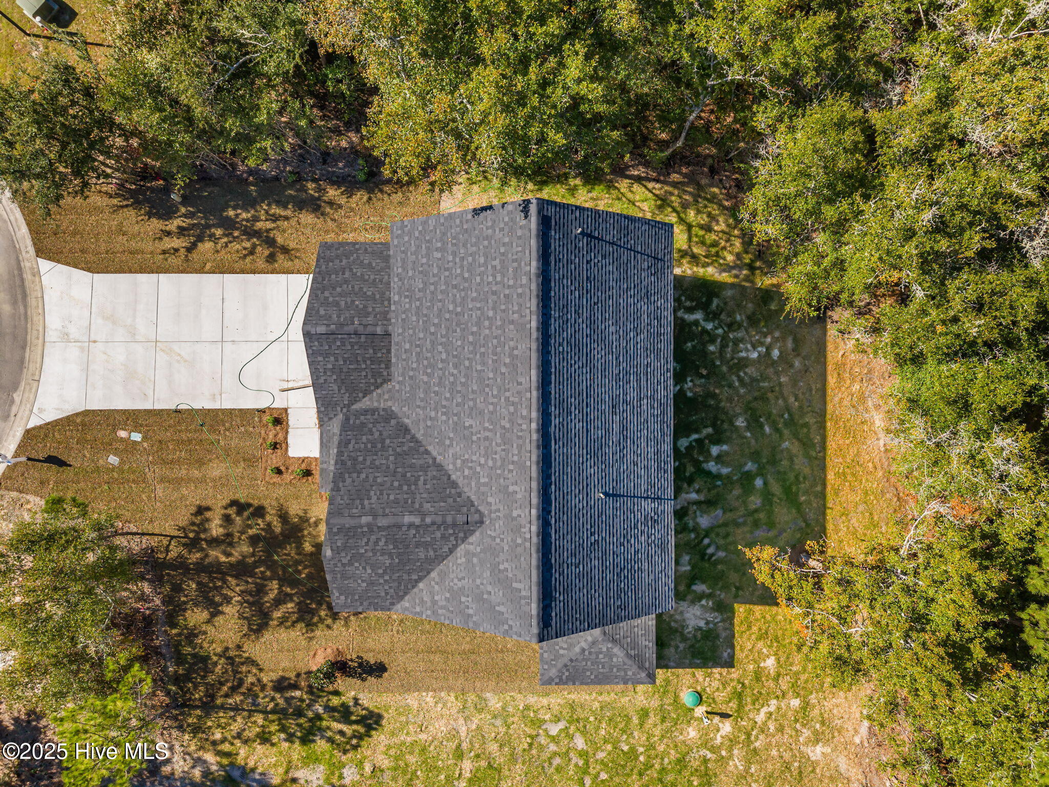 100509349 | Photo 38