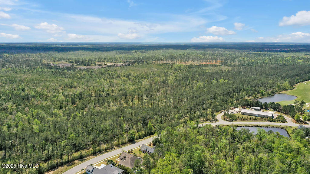 100550023 | Photo 58