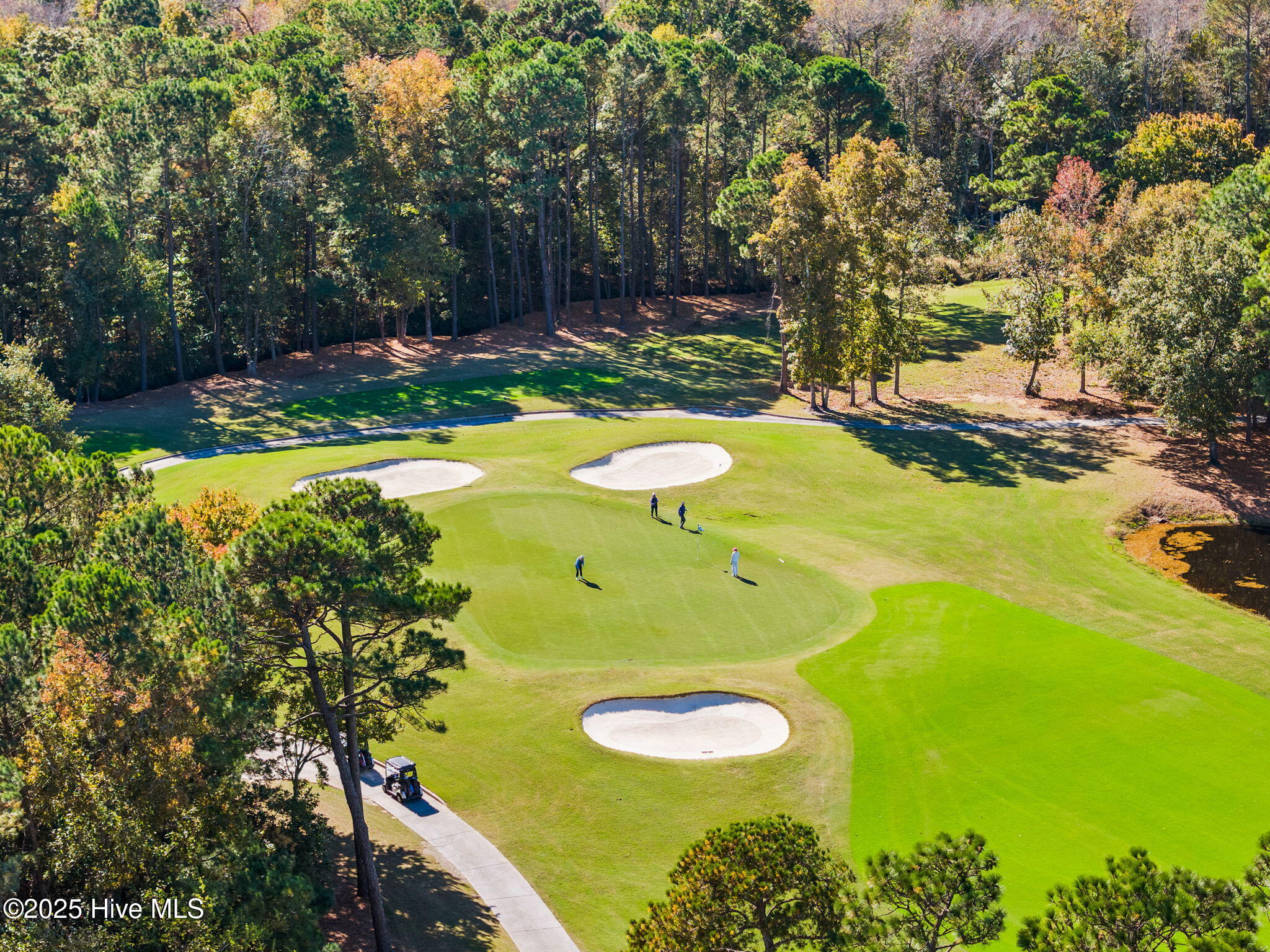 100544081 | Photo 38