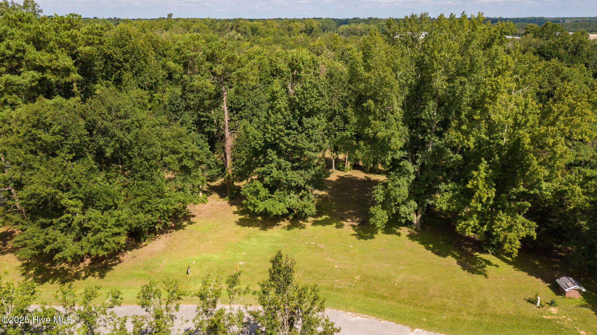 100524642 | Photo 16