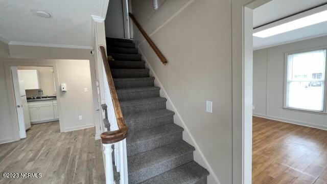 403 N 35th Street,Morehead City