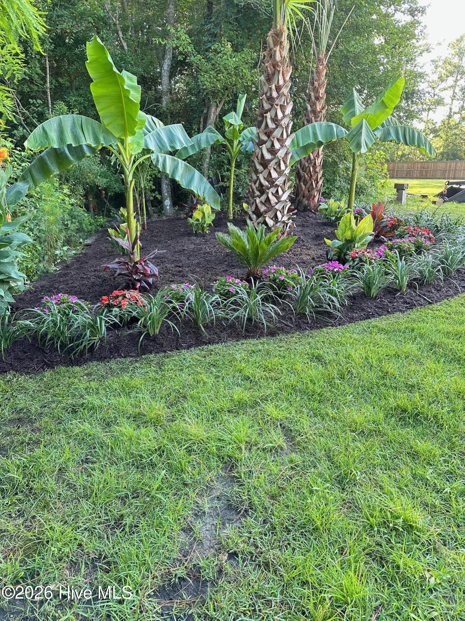 100555561 | Photo 57