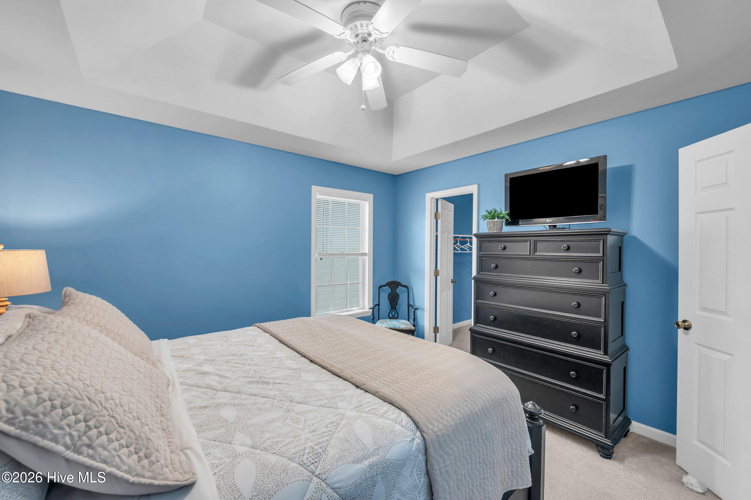 100565578 | Photo 18