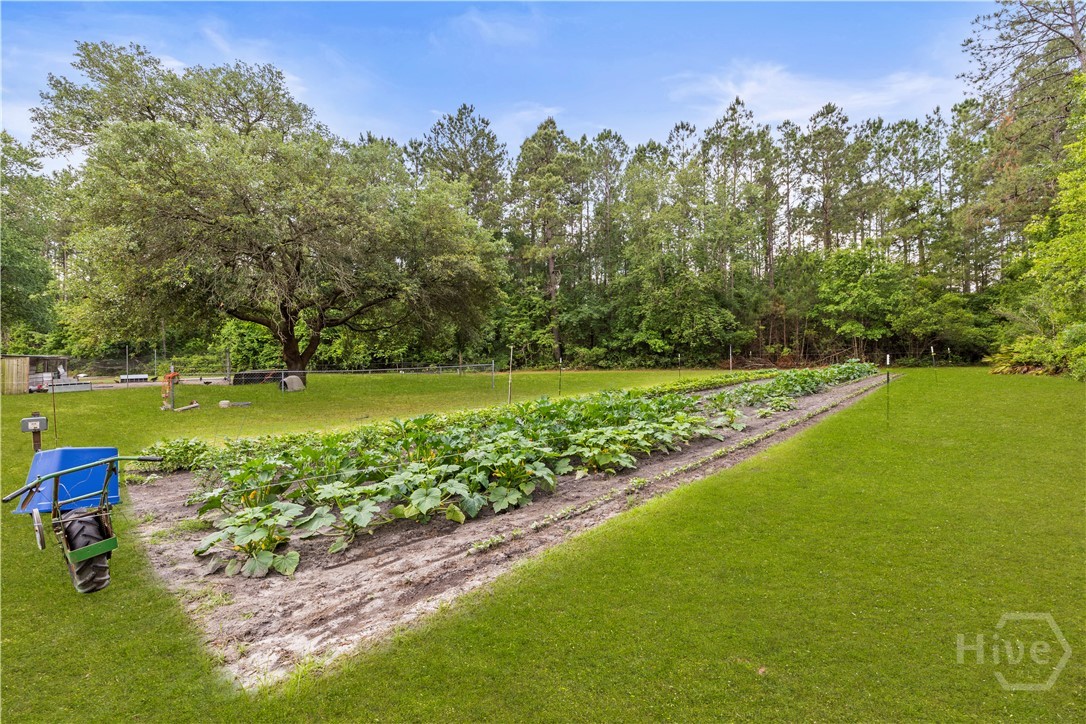 535 & 565 Deer Run Road, Ellabell, GA, 31308