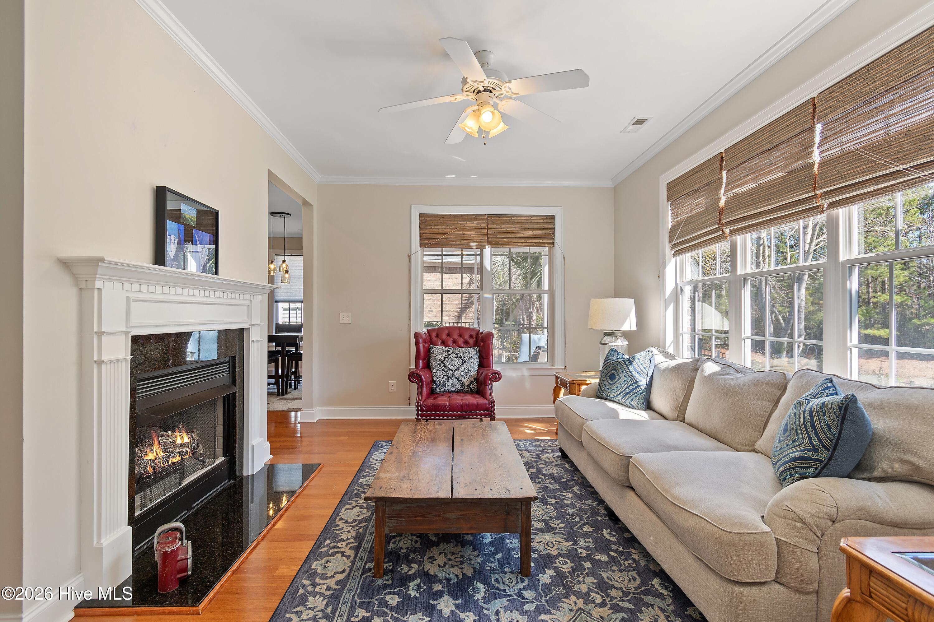 100554573 | Photo 17