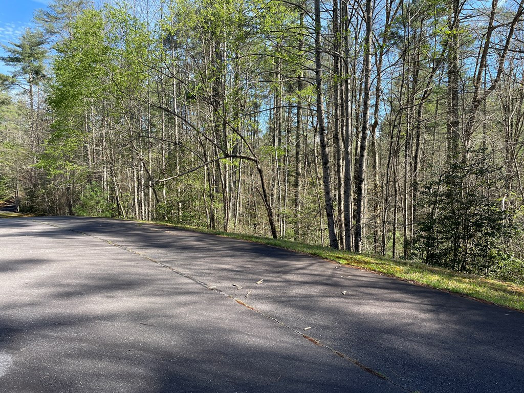 Exterior photo of Lot 89 Spectacular, Hayesville, NC 28904. MLS: 98544212