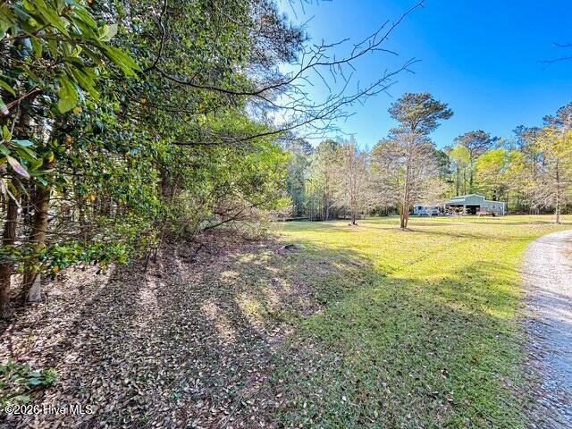 100566420 | Photo 11