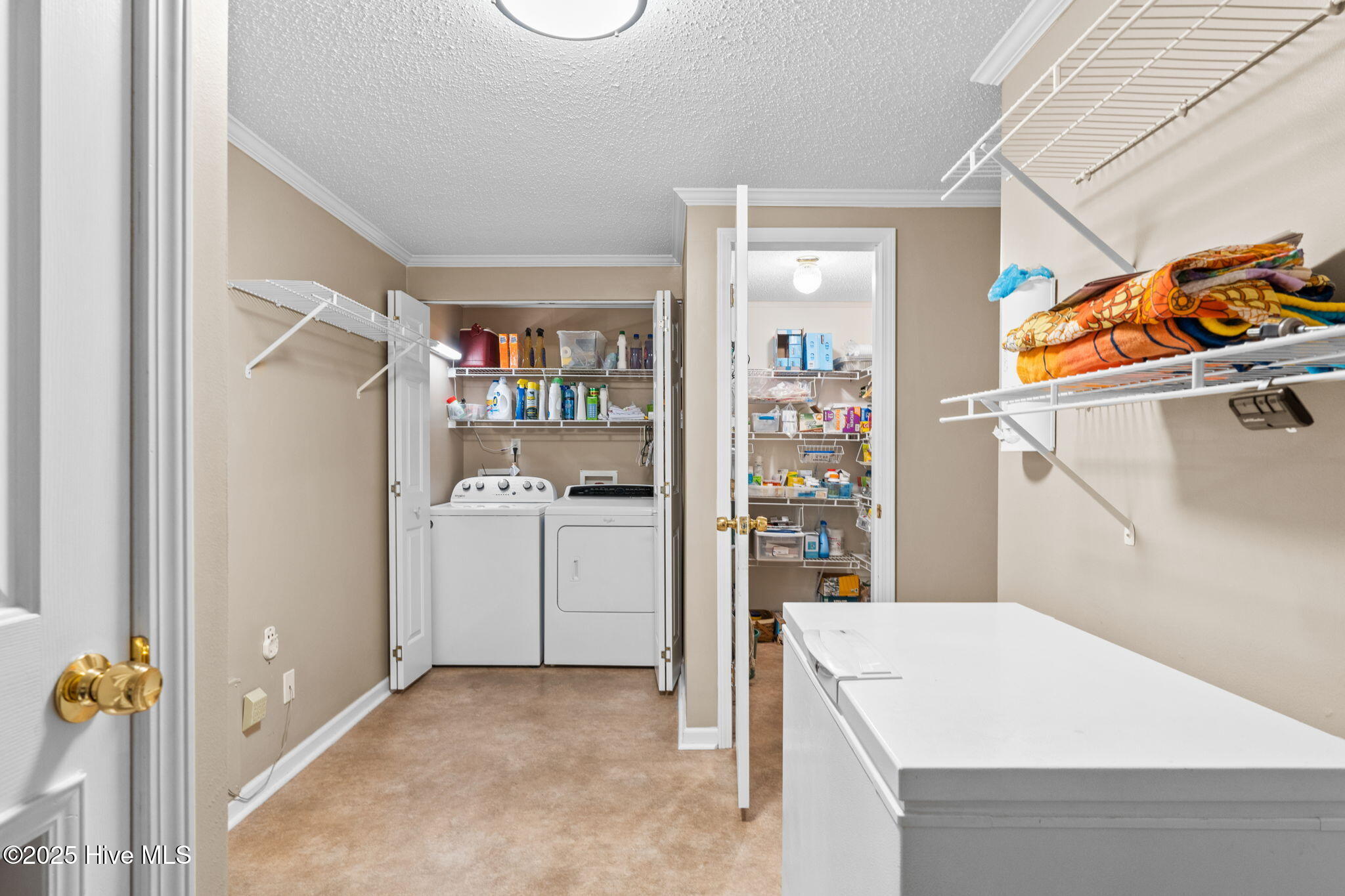 100527656 | Photo 35