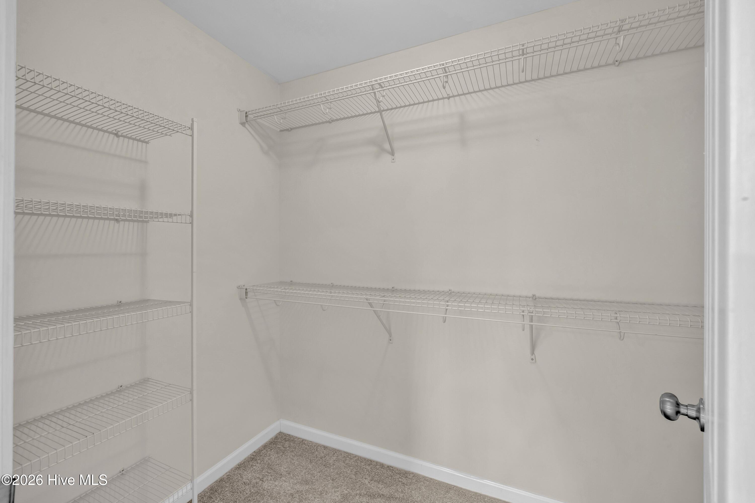 100557951 | Photo 22