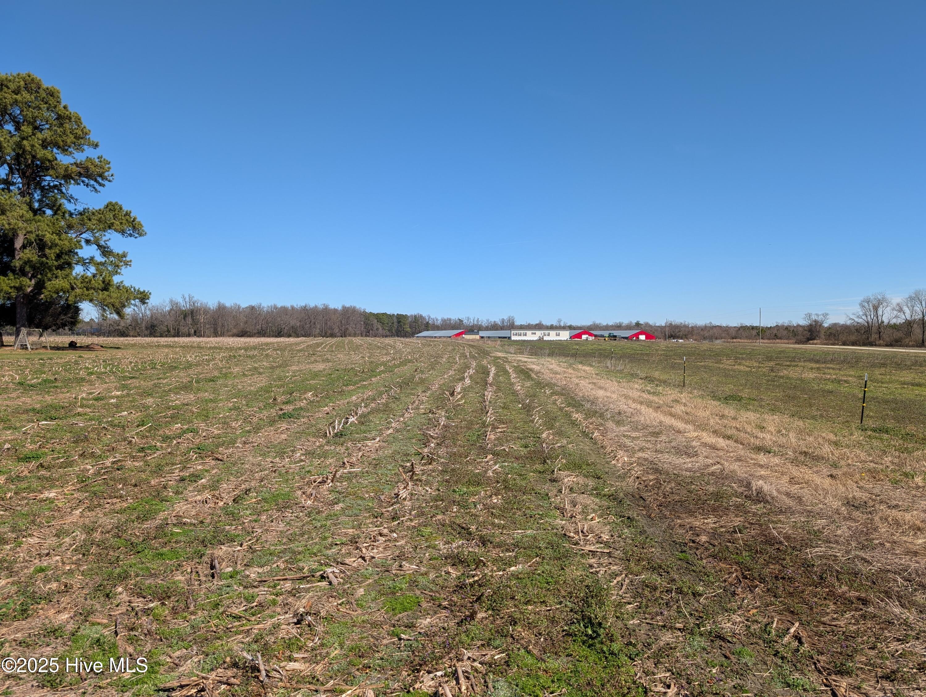 000 1 Cedar Fork Road,Beulaville