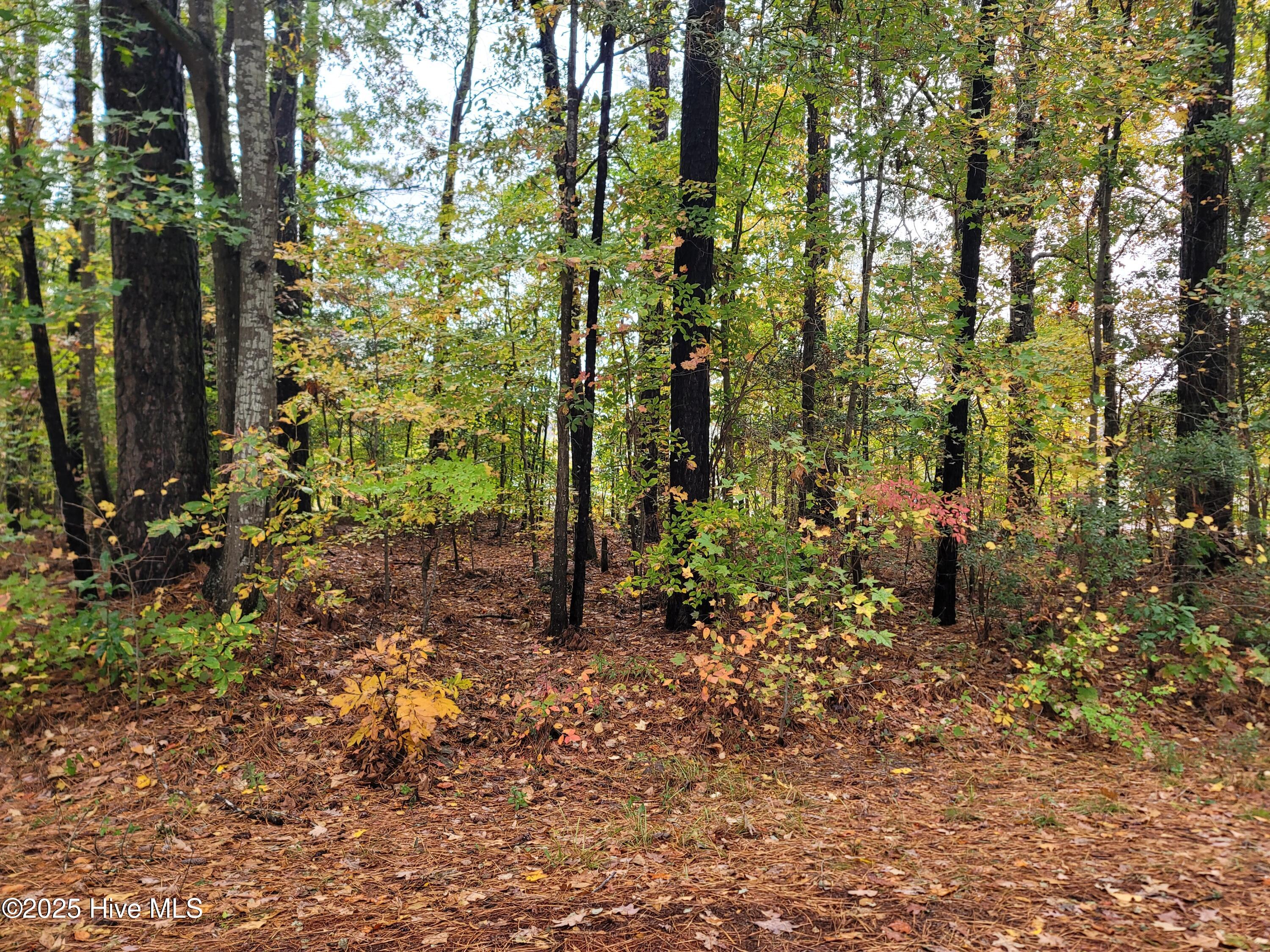 Lot UNIT&nbsp;17 Dogwood Trail, Elizabeth City, NC, 27909