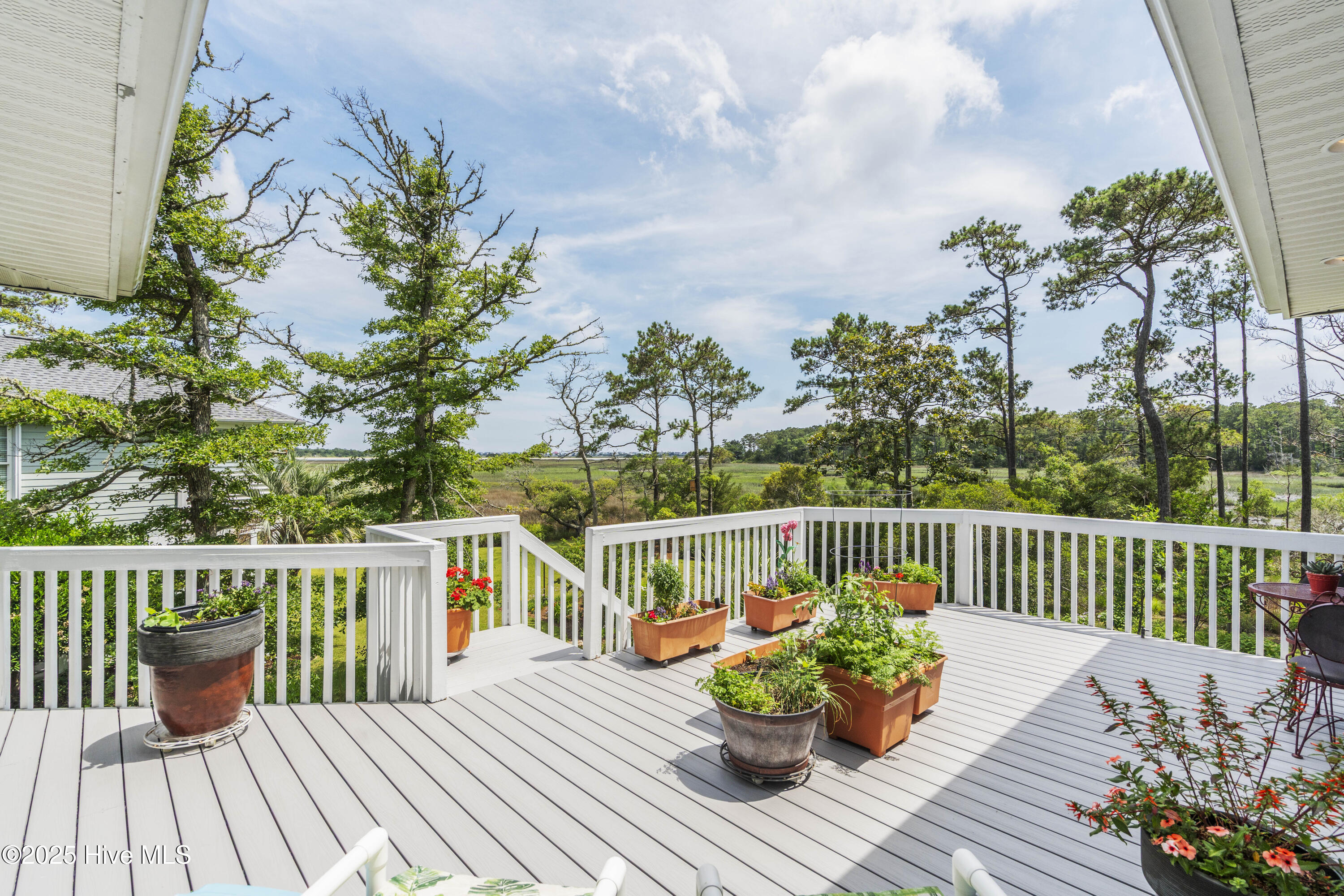 100511764 | Photo 45