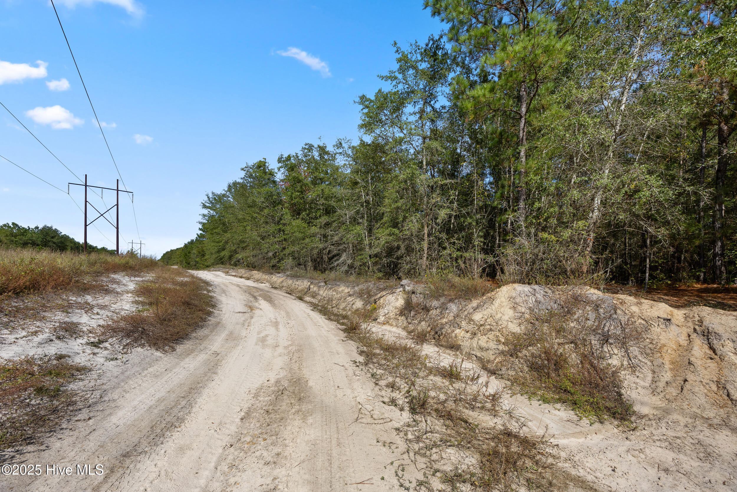 100536371 | Photo 25