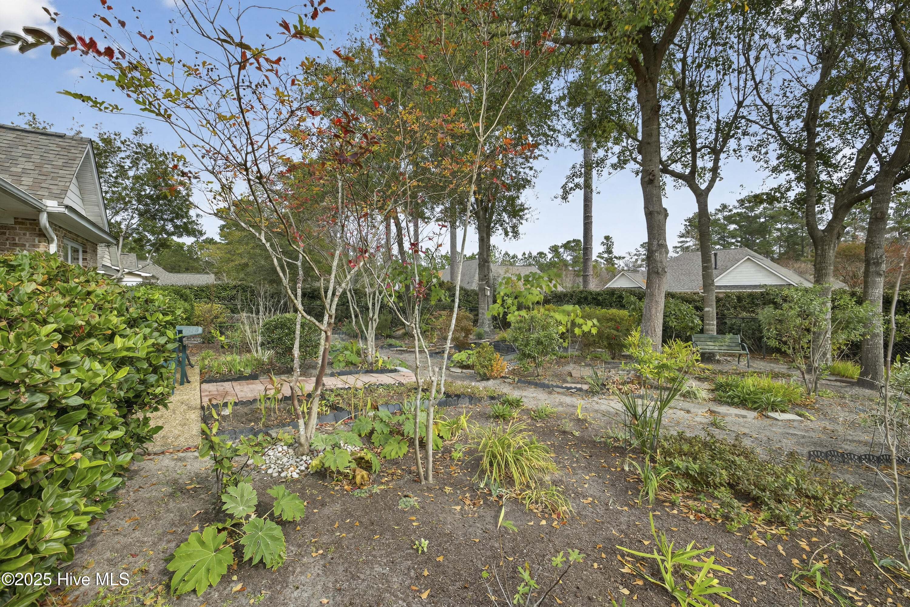 100543766 | Photo 27