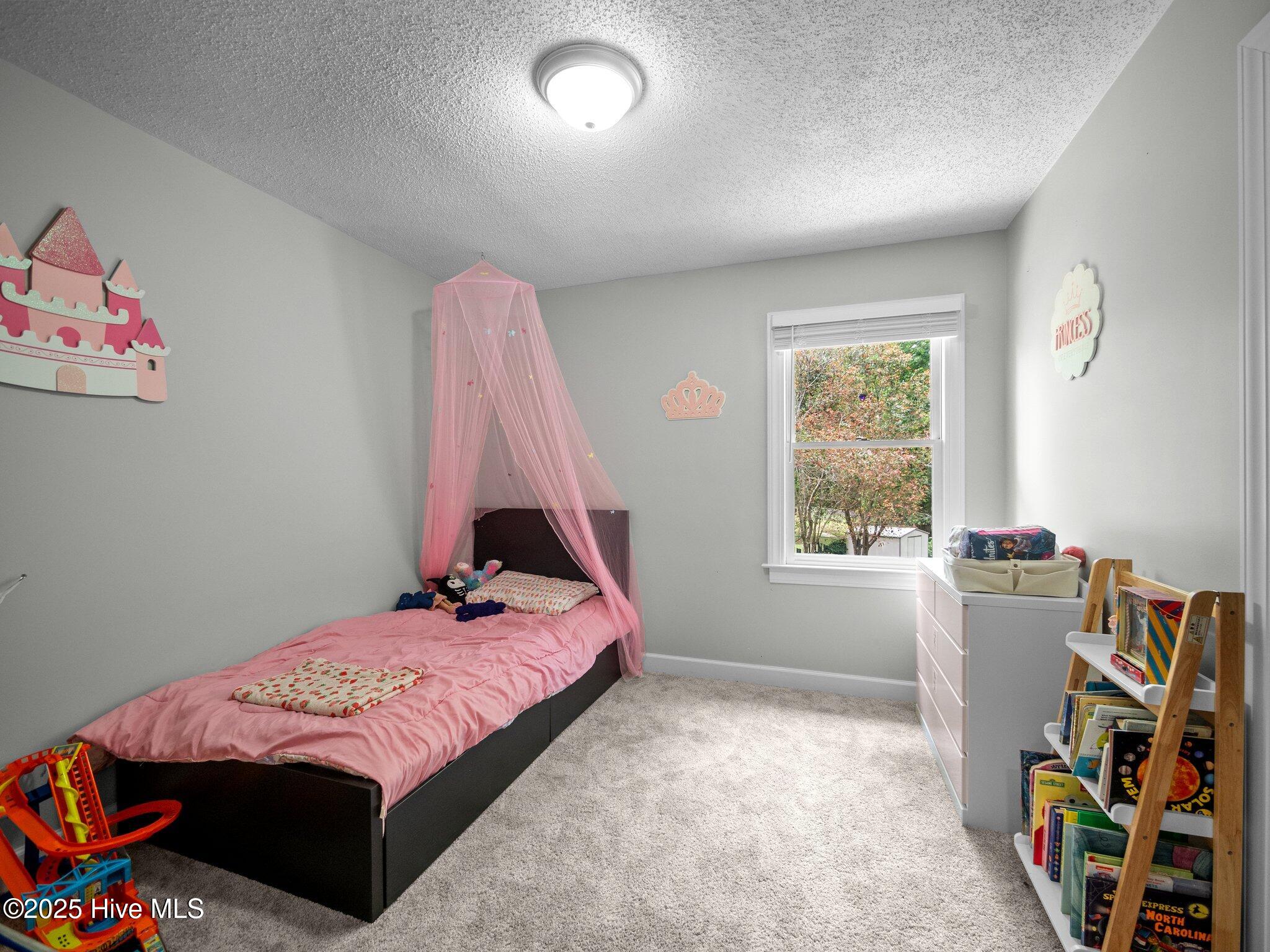 100569850 | Photo 39