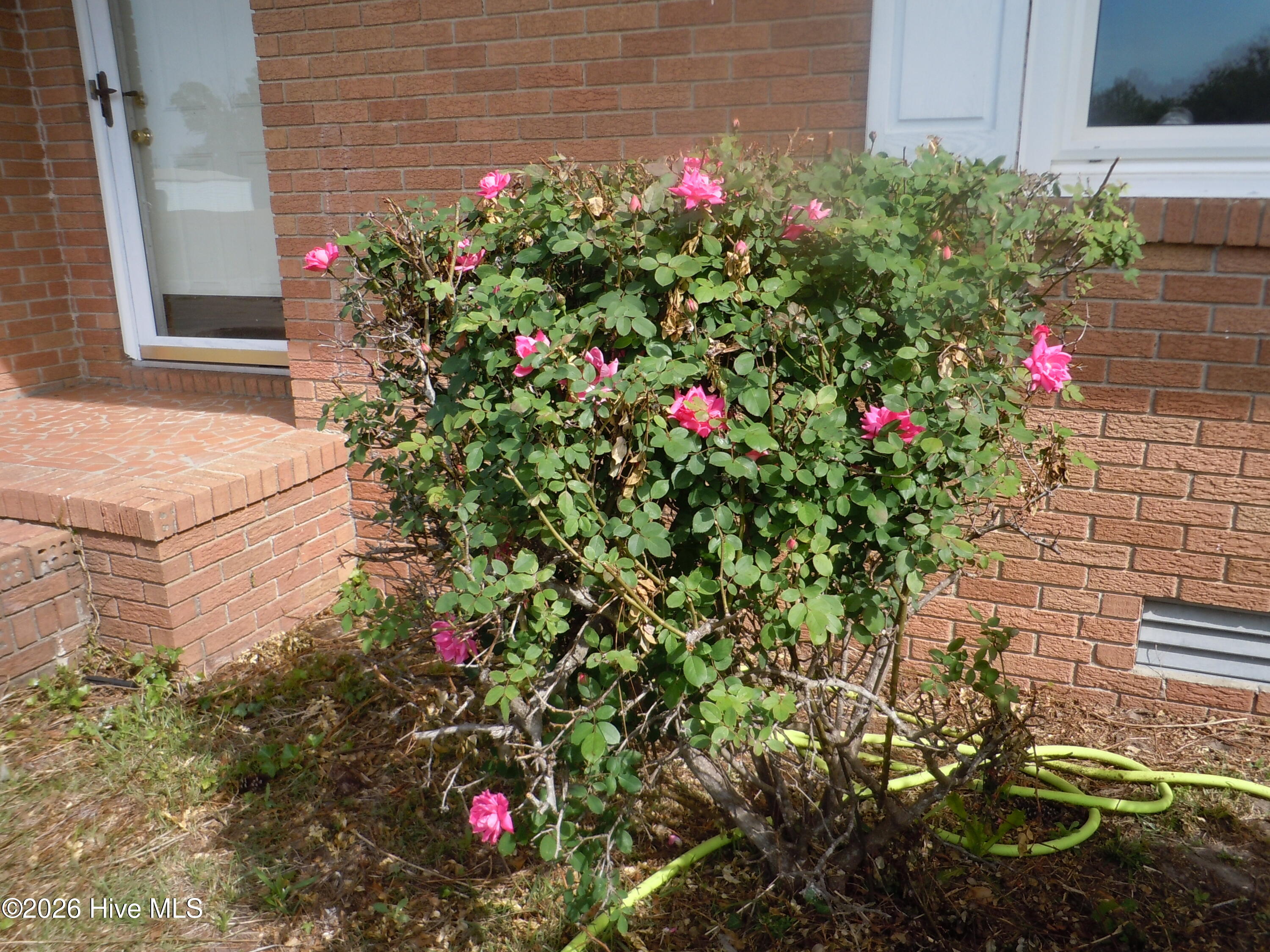 100565752 | Photo 69