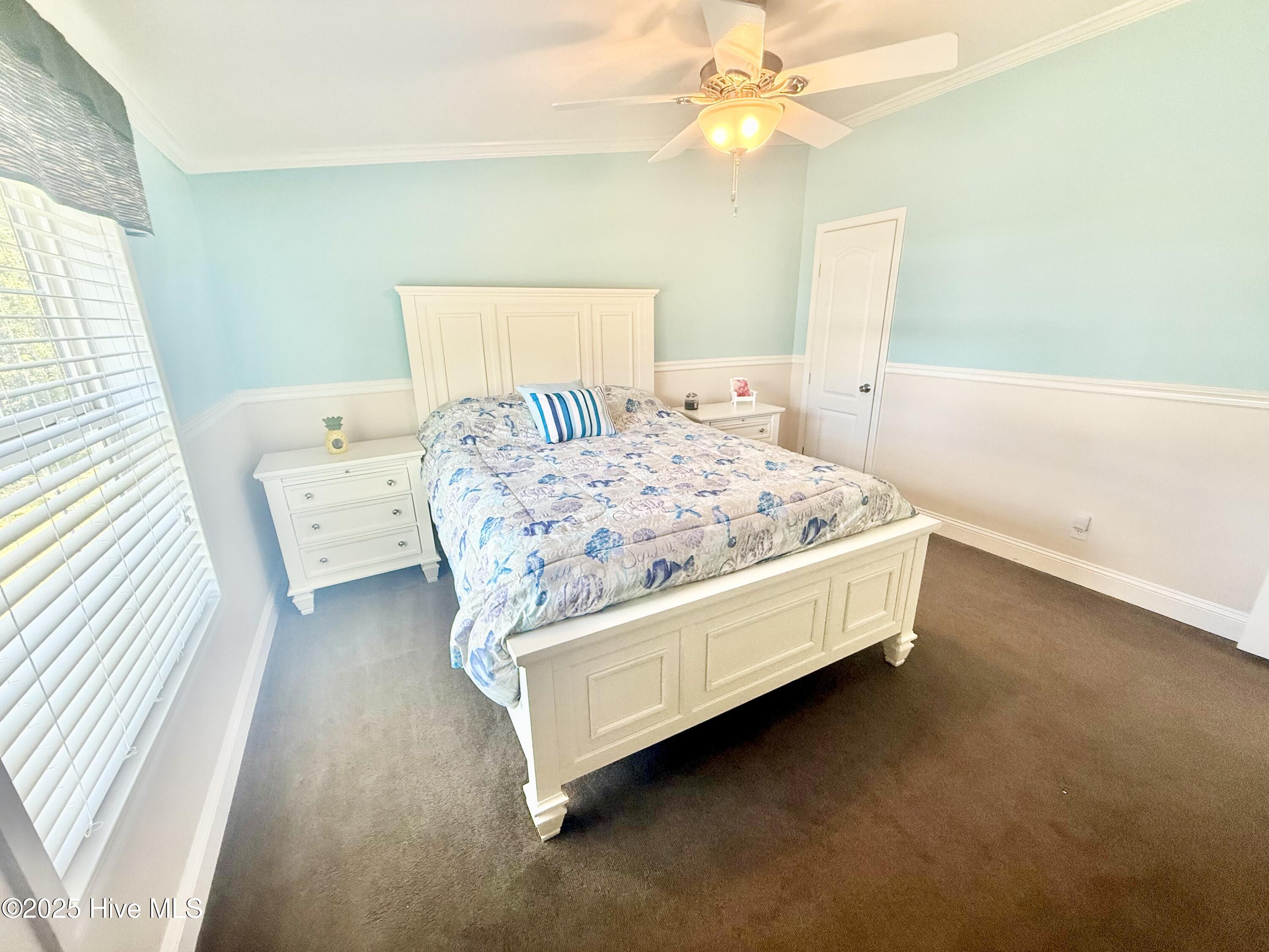 100530784 | Photo 15