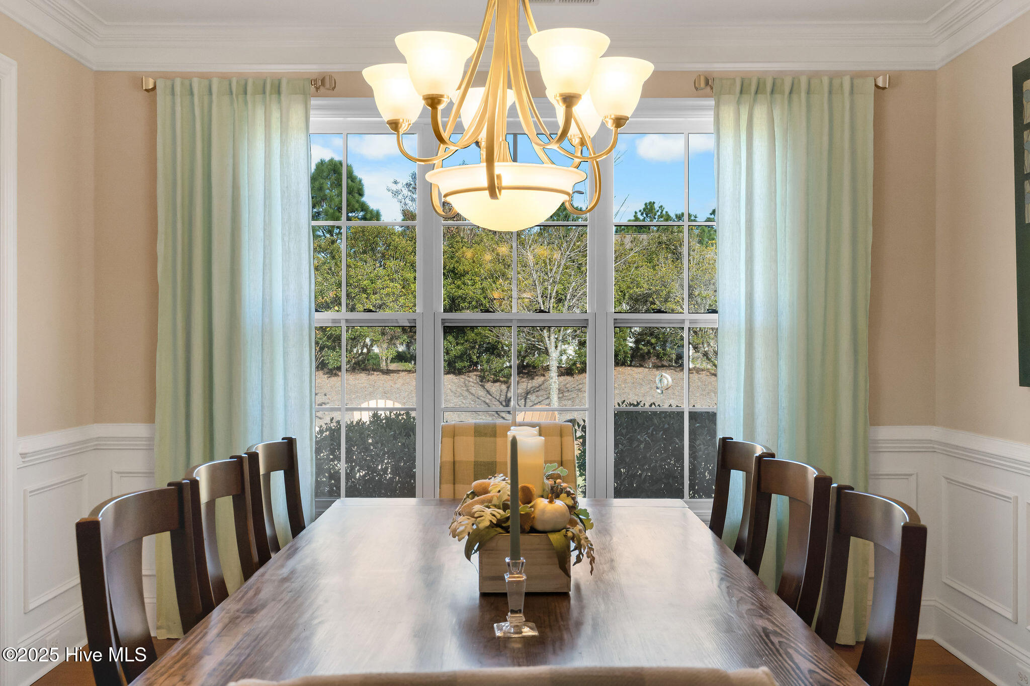 100541913 | Photo 54