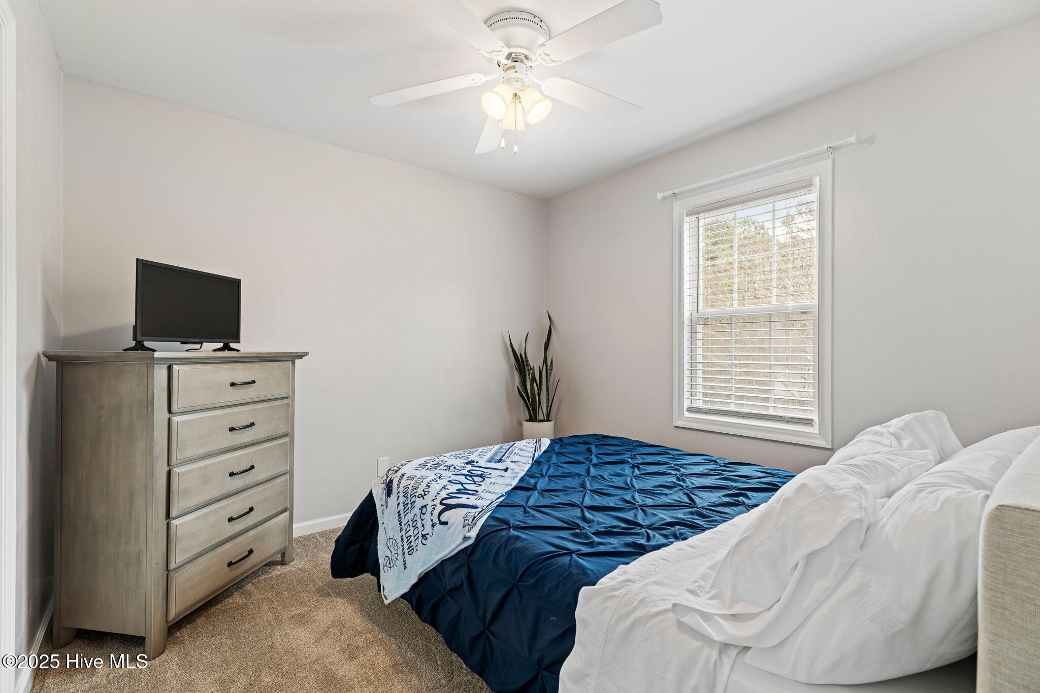 100546580 | Photo 33