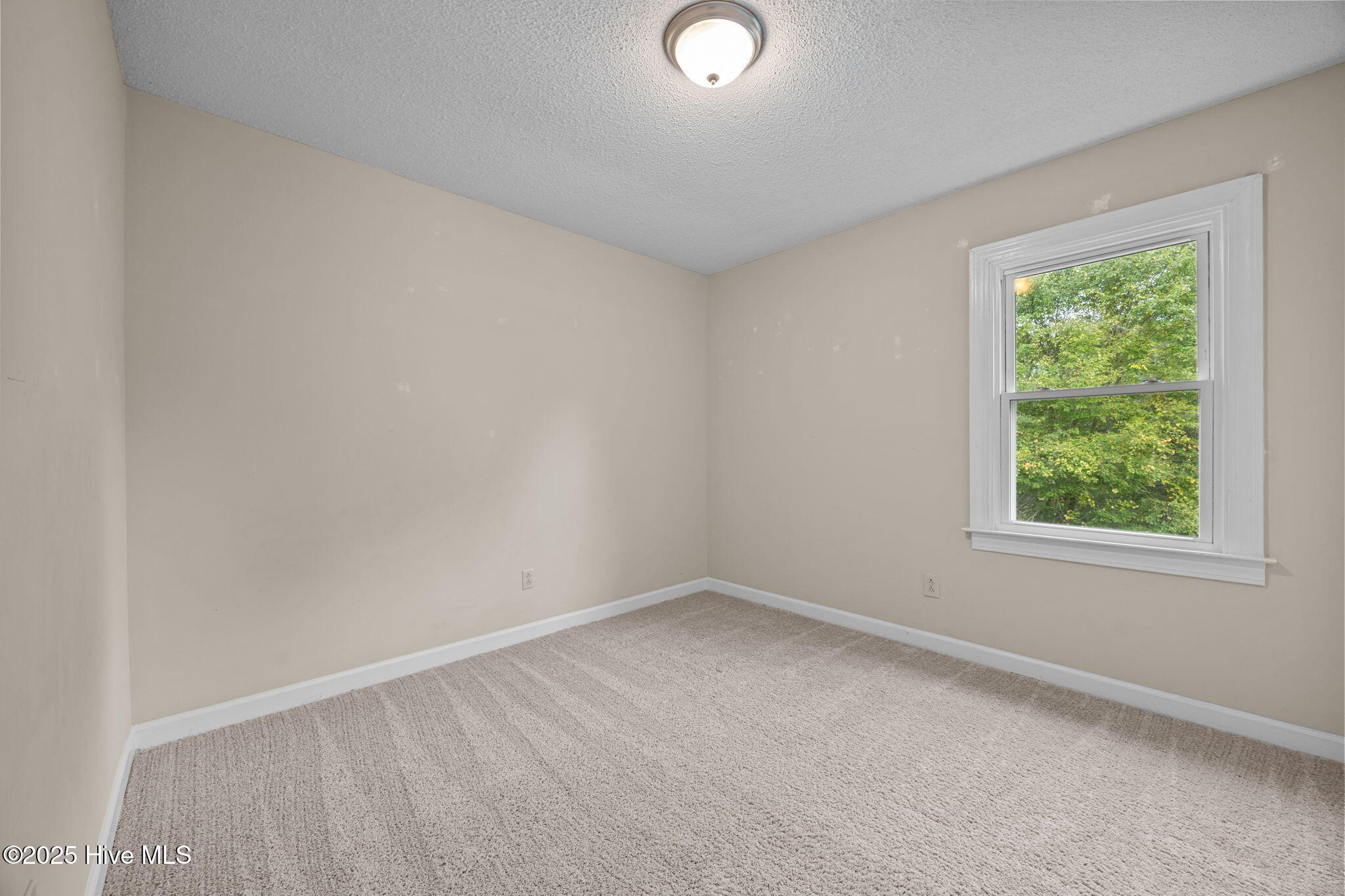 100534053 | Photo 24