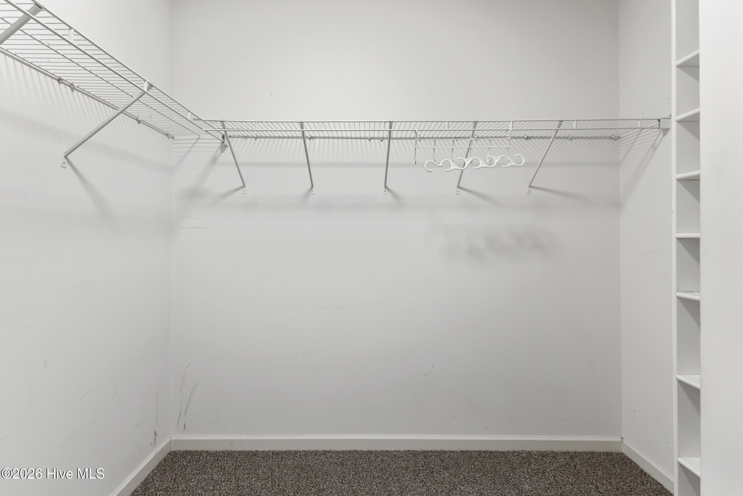 100586312 | Photo 23
