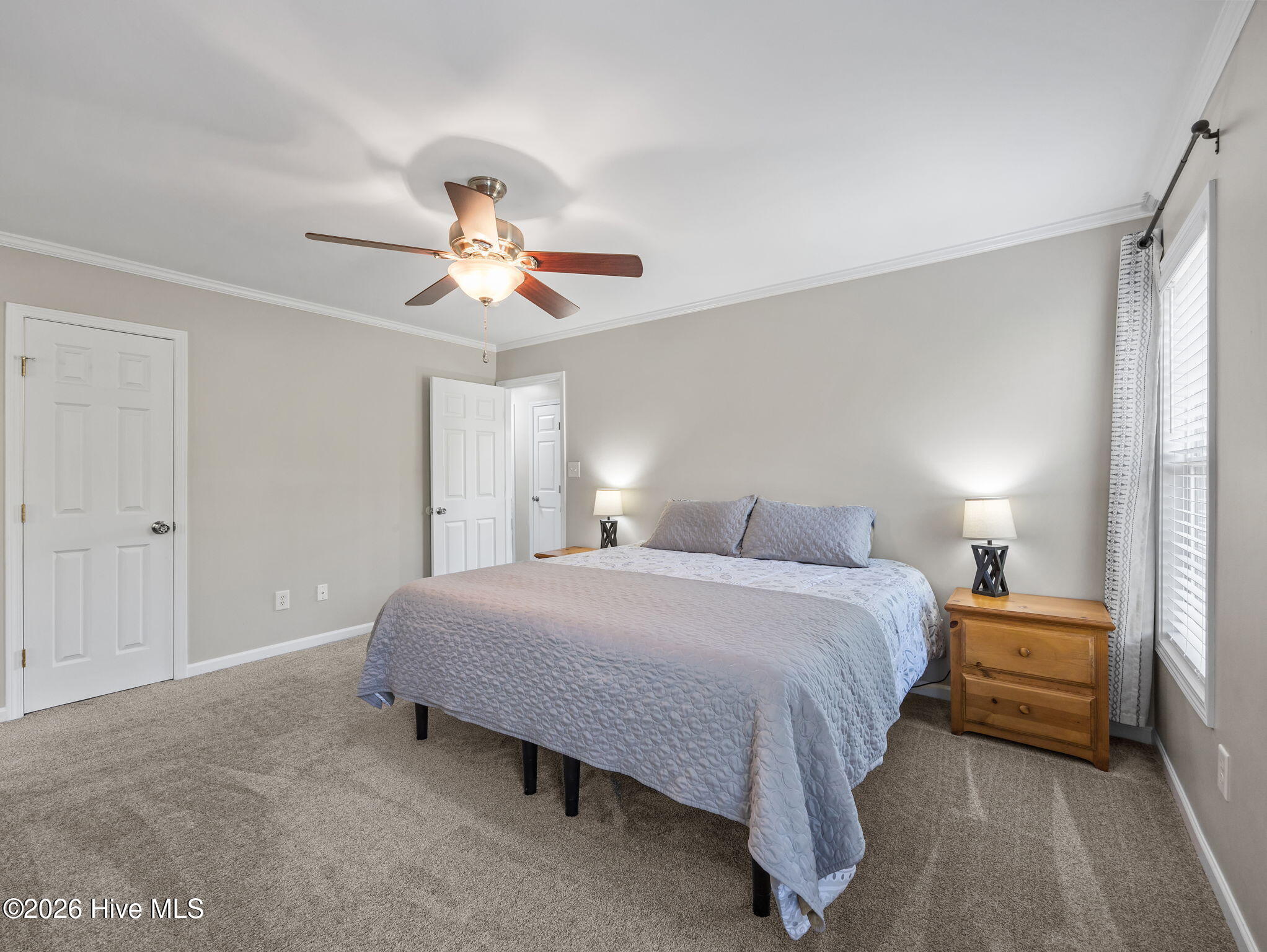 100567456 | Photo 23