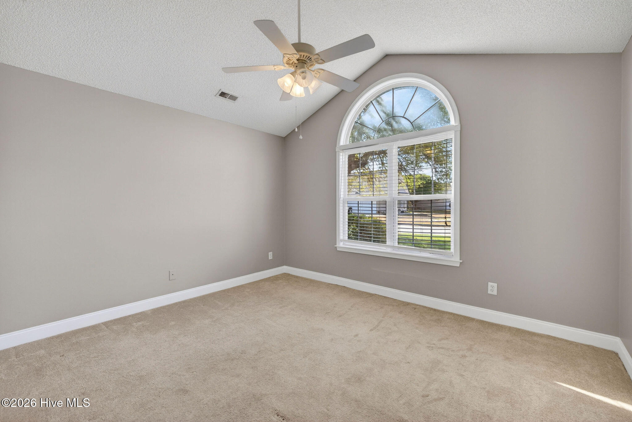 100567881 | Photo 30