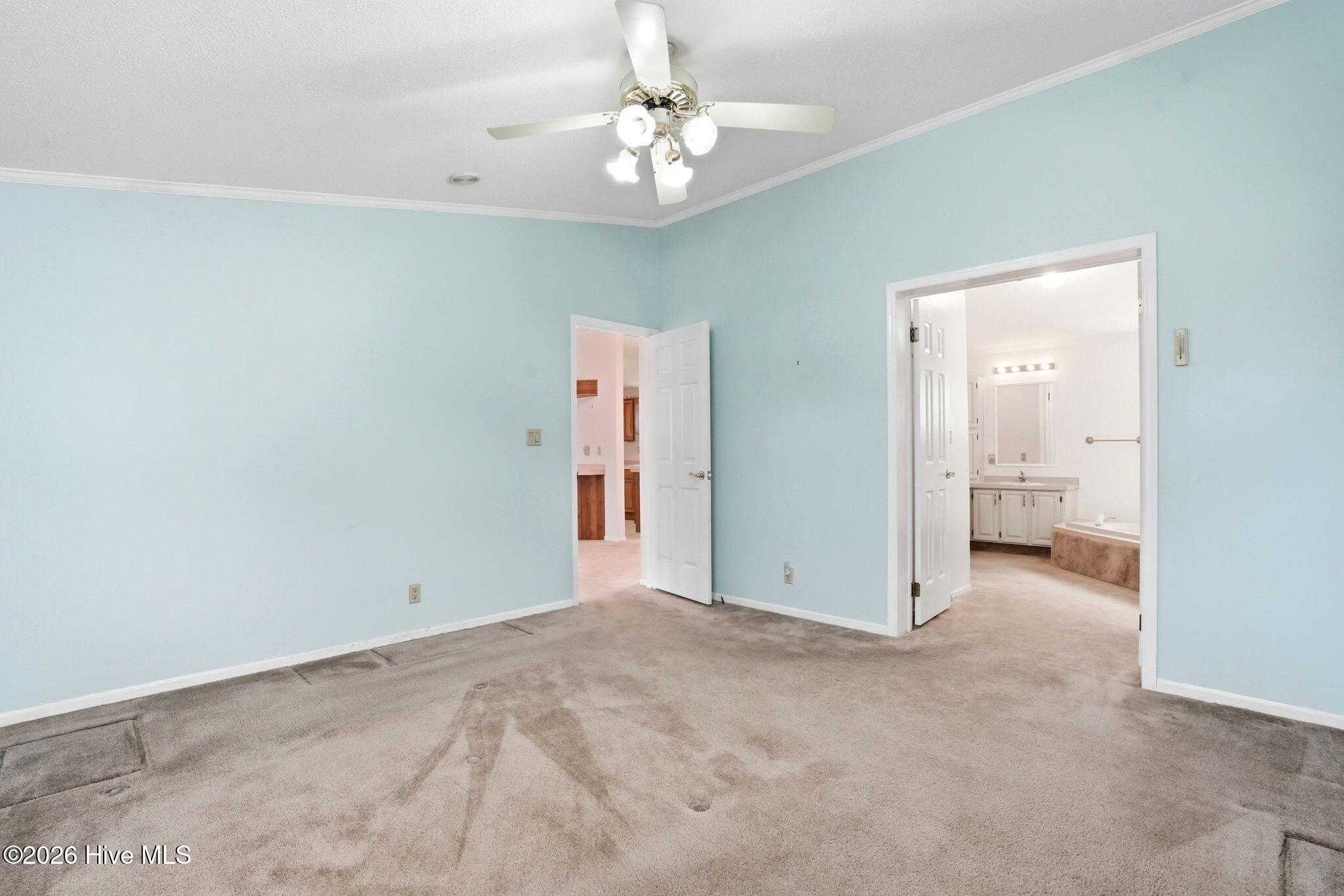 100561756 | Photo 53