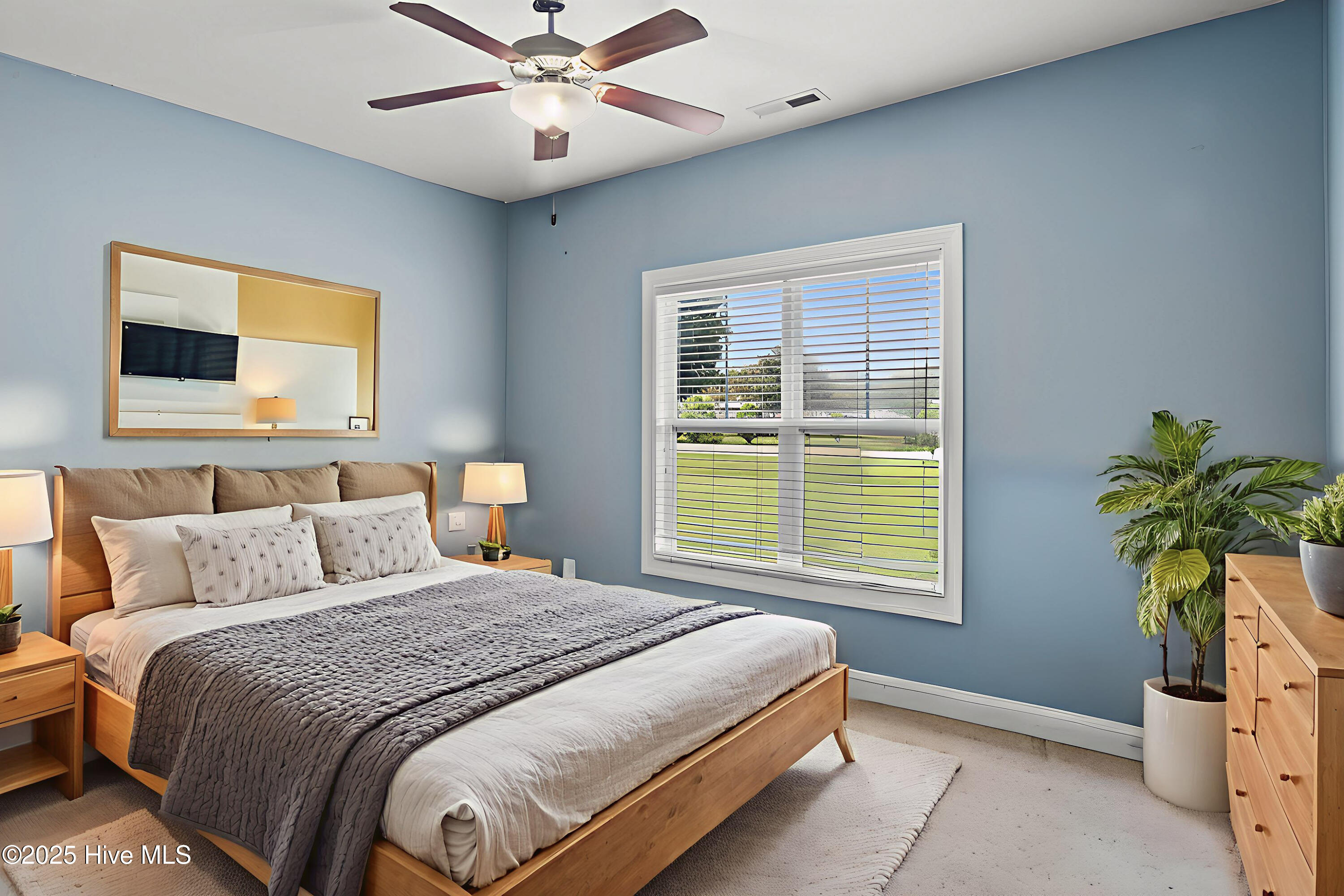 100530056 | Photo 26