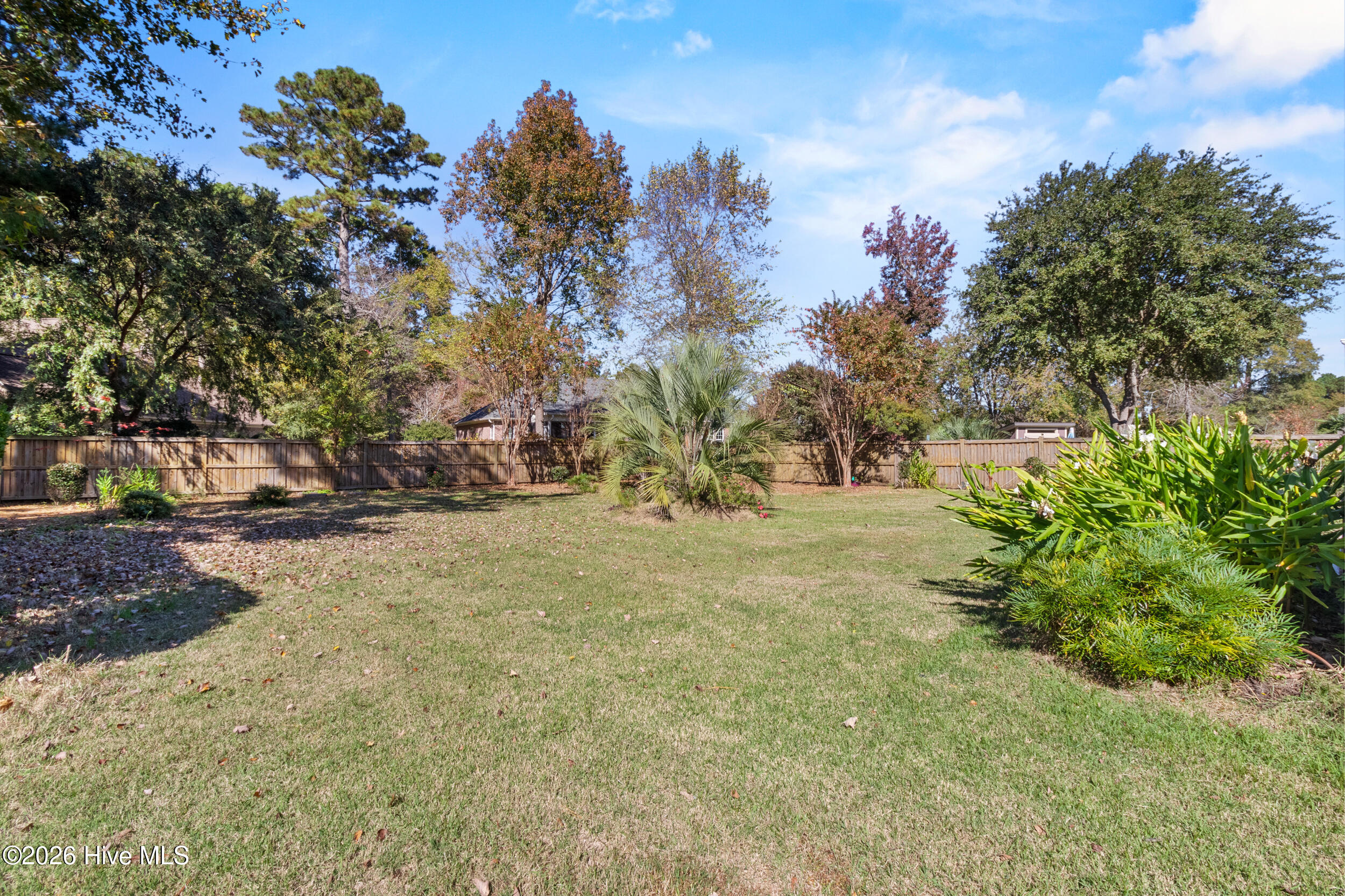 100541482 | Photo 50